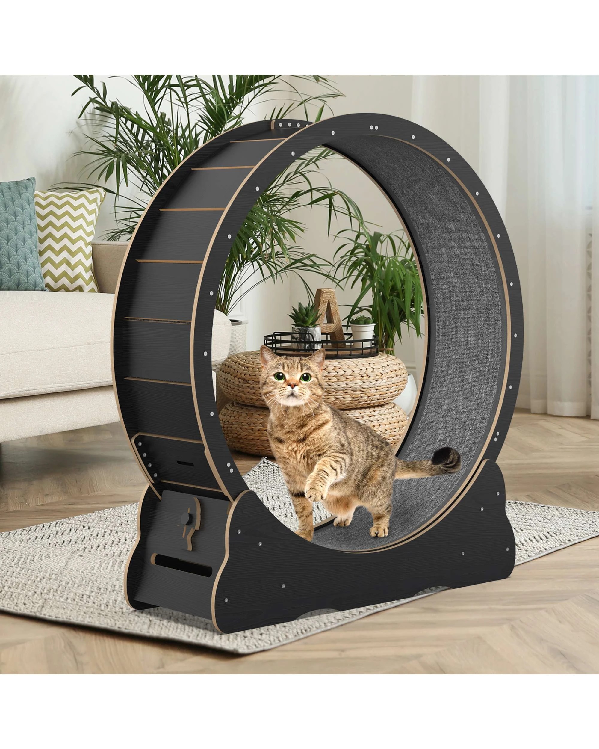 3 Advwin Cat Exercise Wheel Pet Running Exerciser Treadmill Scratcher Board, 3 of 7