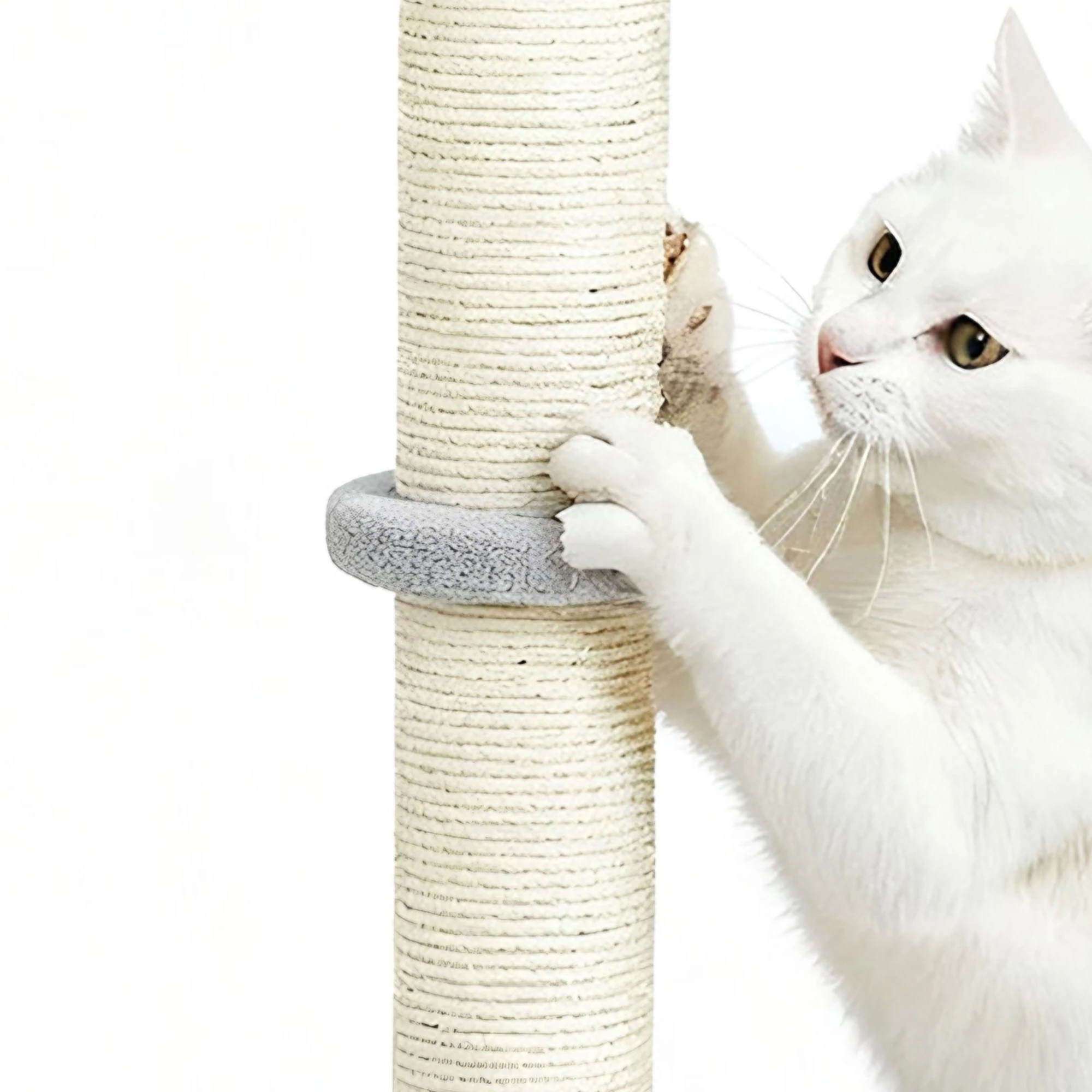 5 Pawz Cat Scratching Post 74cm - Grey, 5 of 9