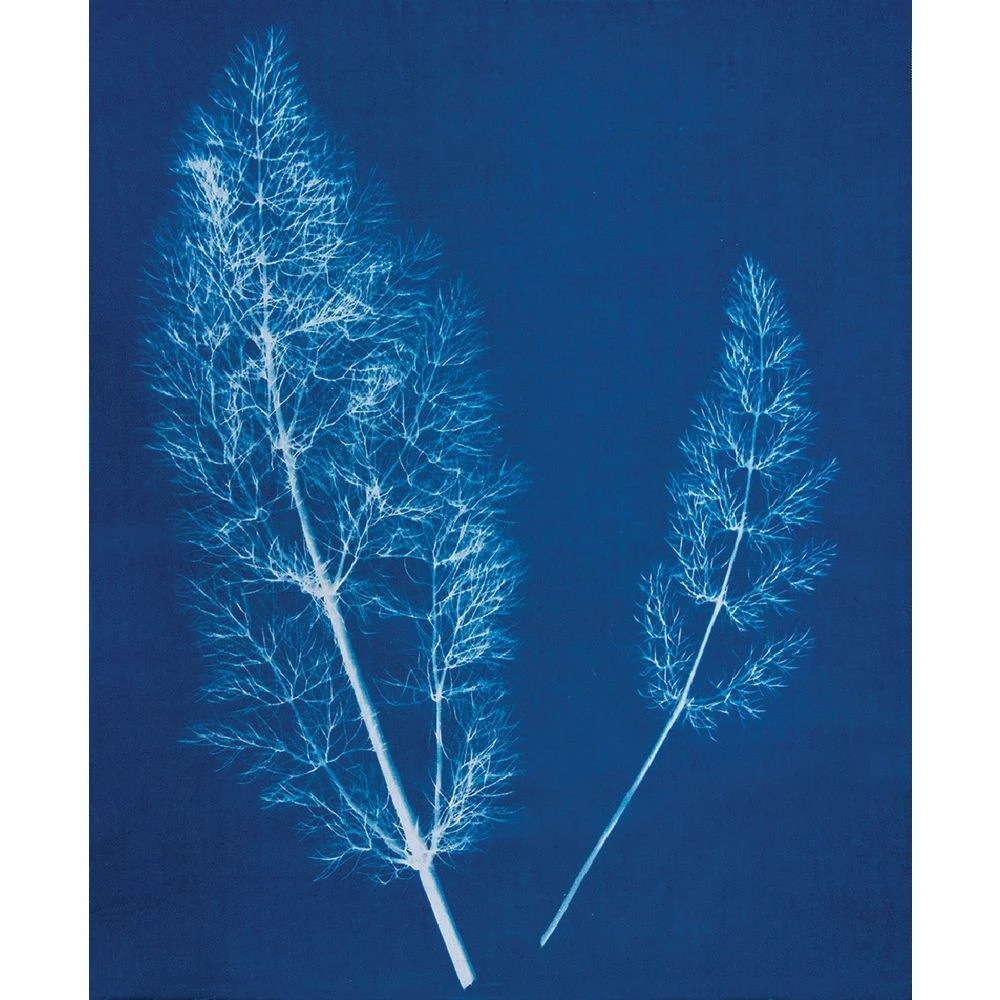 2 Cyanotype Sun Printing Fabric Sheets Class Pack, 2 of 3
