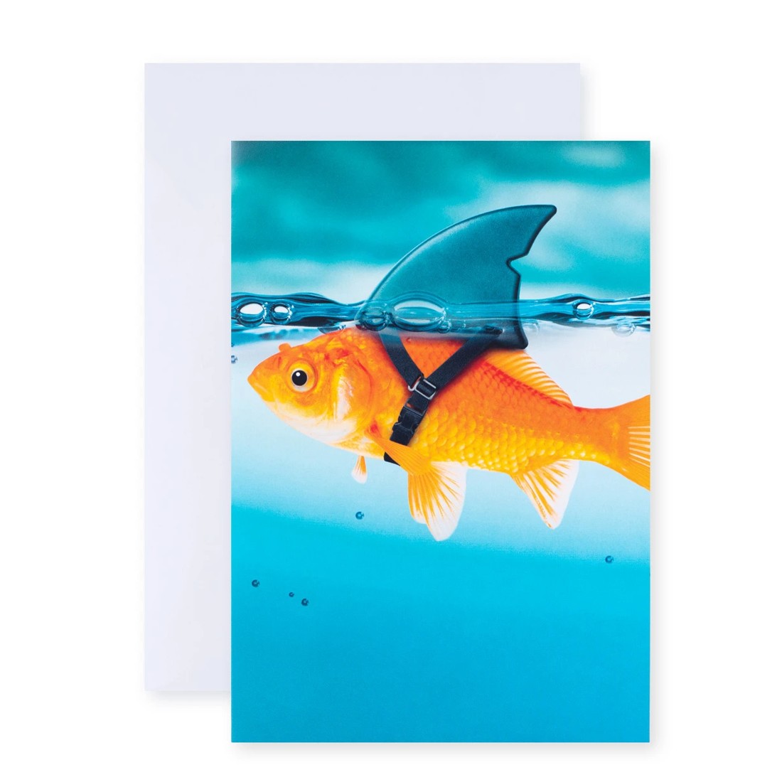 1 Connections by Hallmark Birthday Card - Goldfish Humour, 1 of 3
