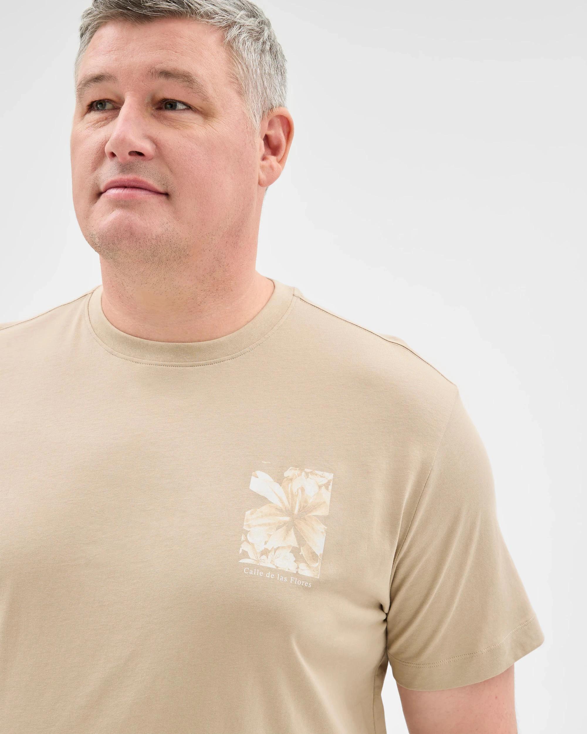 3 Target Plus Size Australian Cotton Fashion T-Shirt TAN, 3 of 5