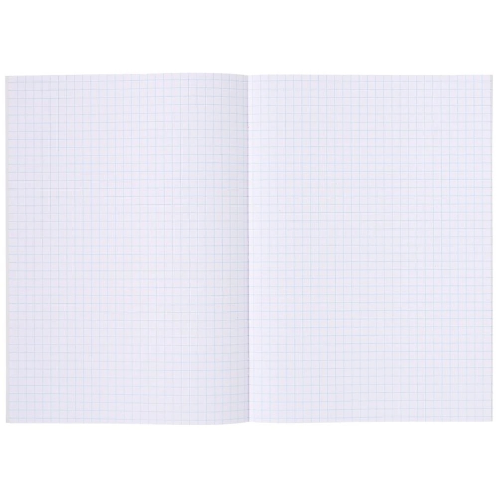 2 Studymate A4 Premium Recycled 7mm Grid Book 48 Page, 2 of 3