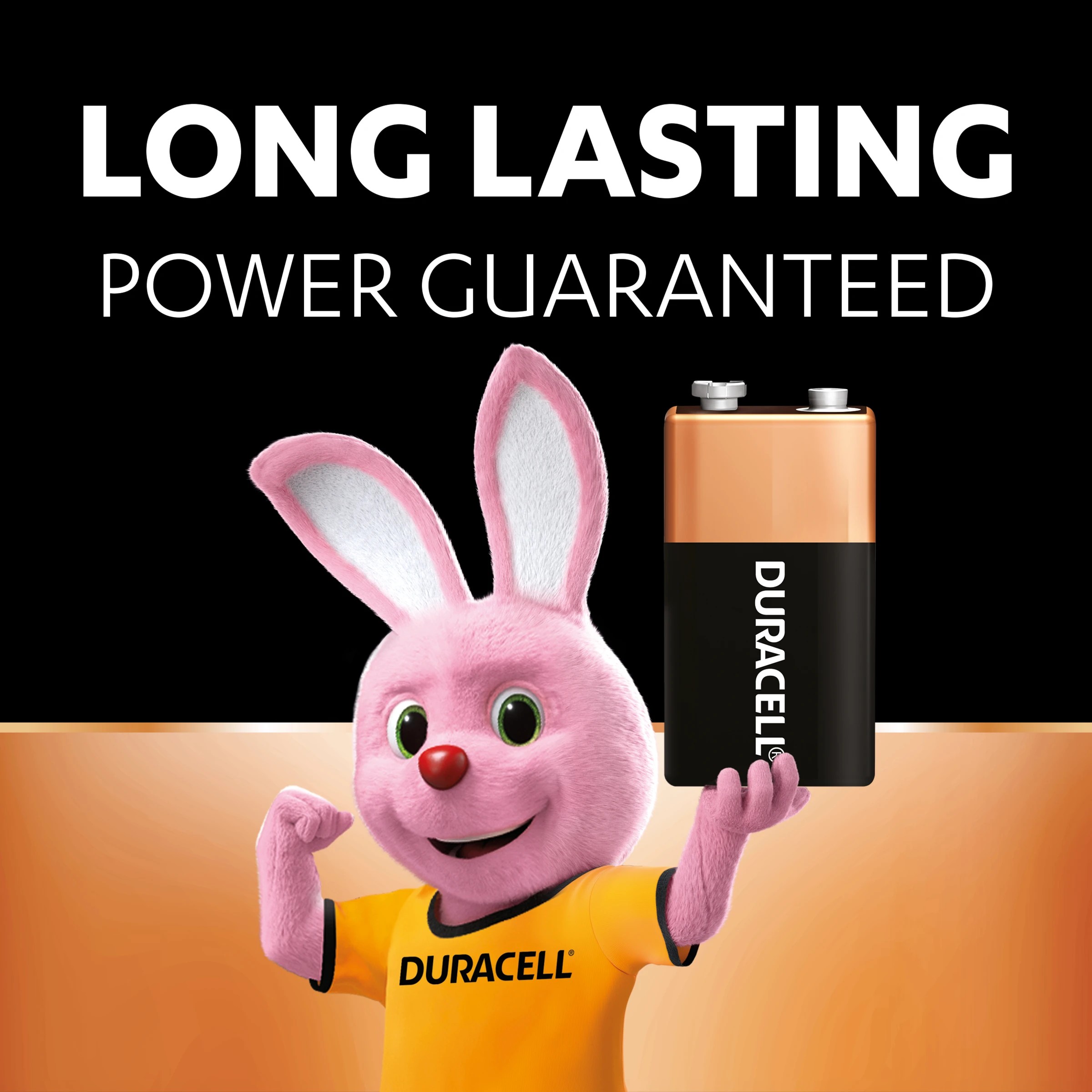 3 2 Pack Duracell Coppertop 9V Batteries, 3 of 8