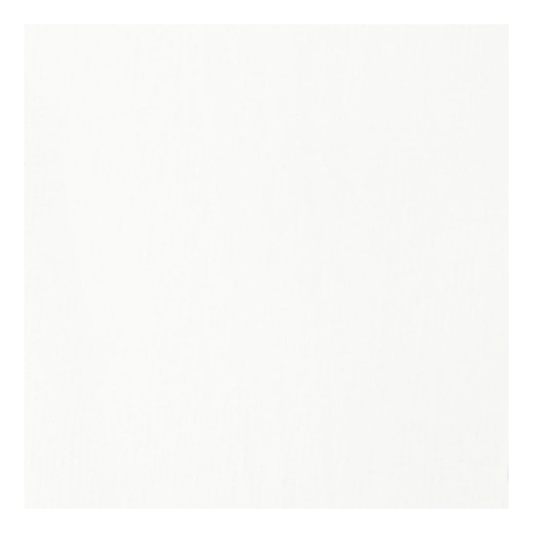 5 Liquitex Basics Acrylic Paint 118mL Transparent White, 5 of 5