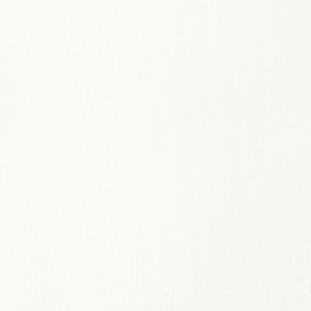 5 Liquitex Basics Acrylic Paint 118mL Transparent White, 5 of 5