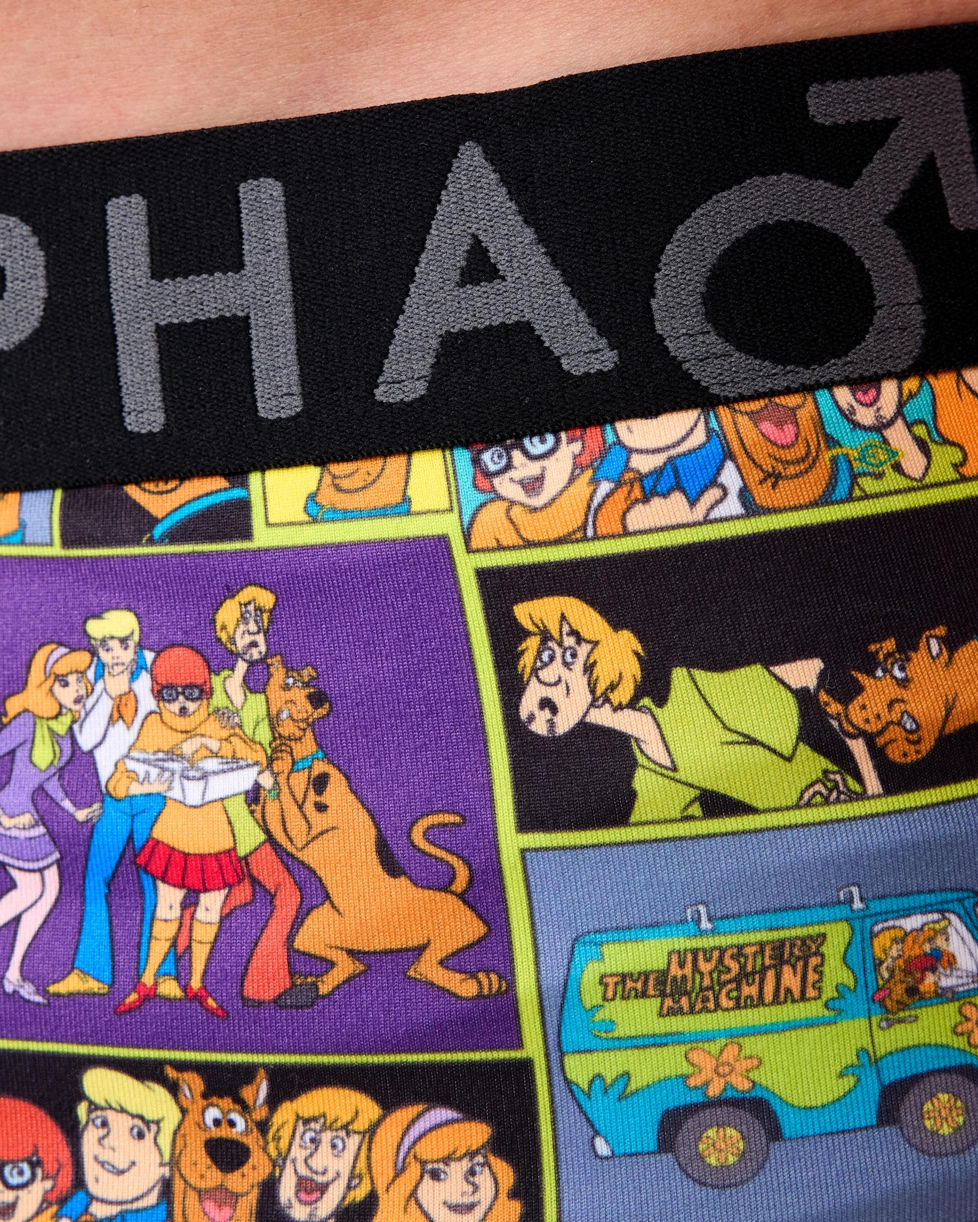 4 License Print Trunks Scbydo W26, 4 of 6