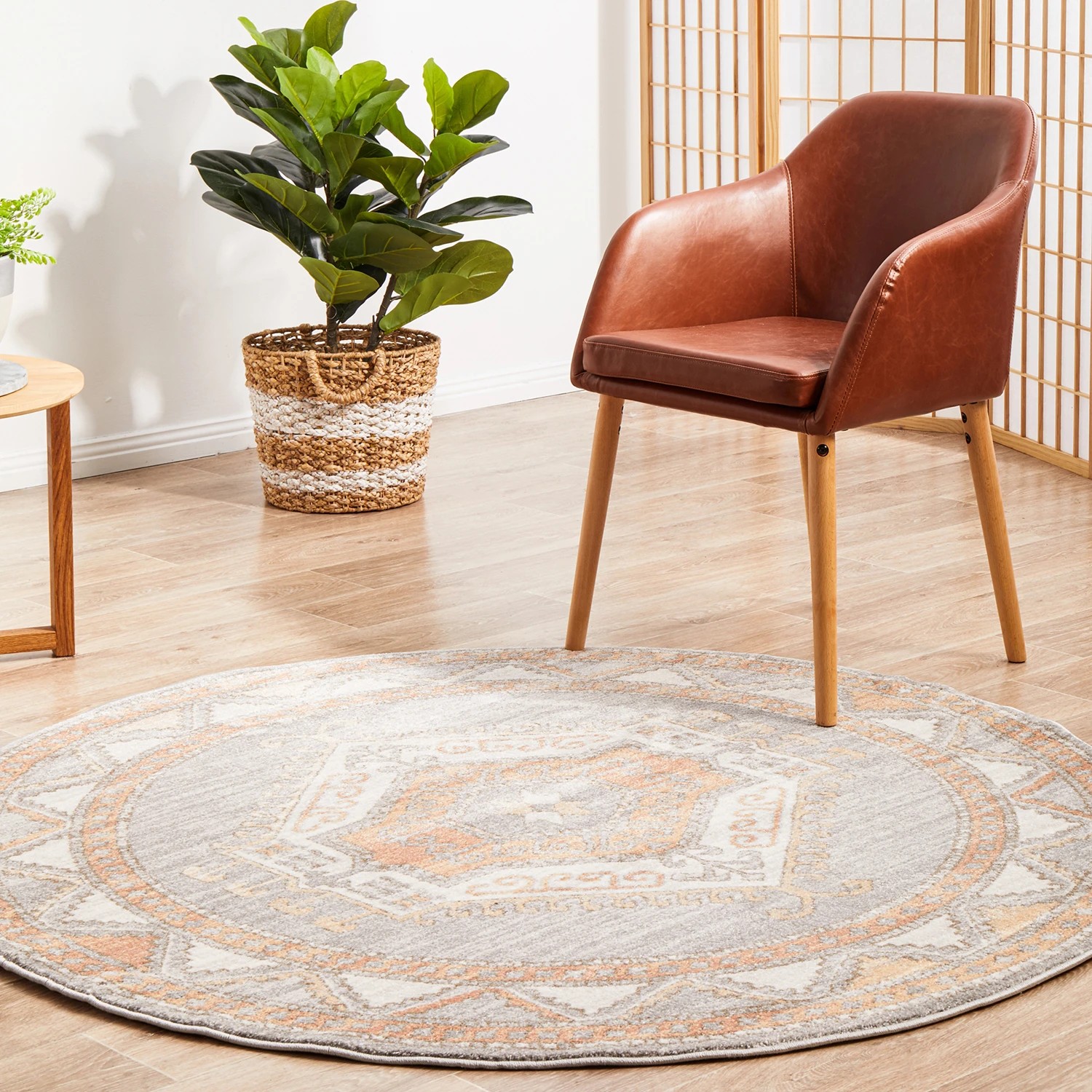 3 Common Ground Rugs Elite Caitlen 150x150cm - Small Round Power Loomed Pet Friendly Rug - Silver, 3 of 9