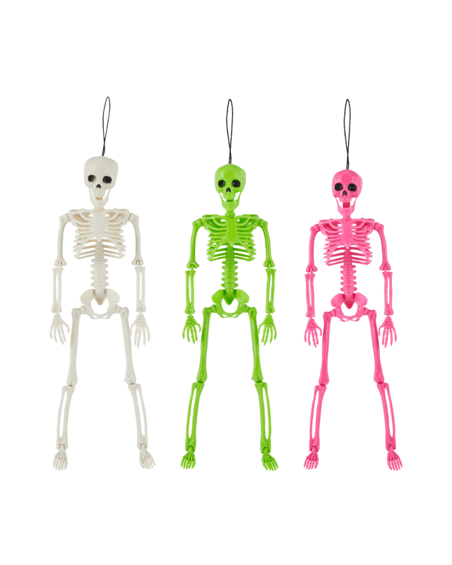 Mini Skeleton - Asso