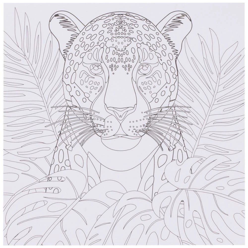 3 Born 9x9" Adult Colouring Book Birds and Animals, 3 of 4