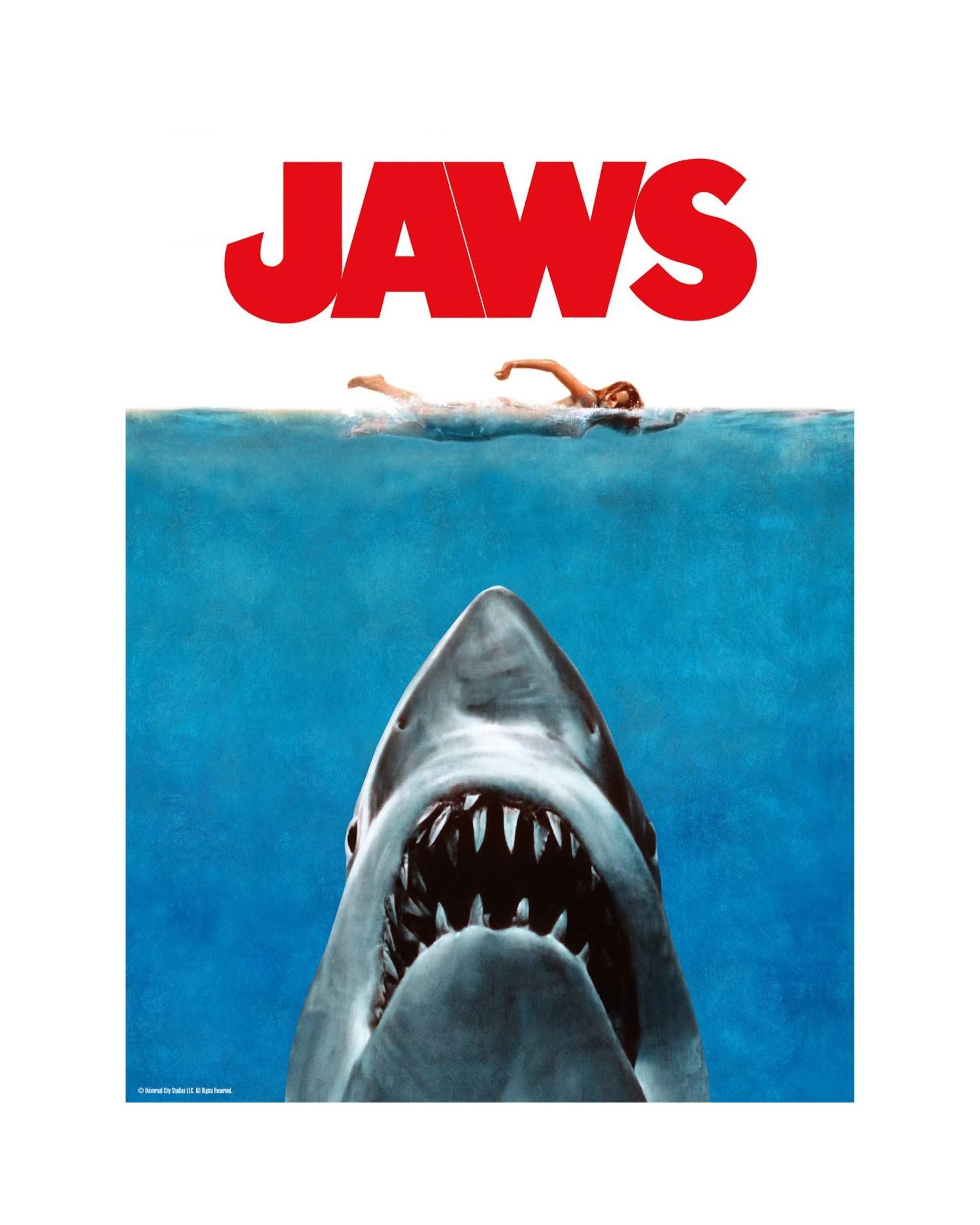 2 Aquarius Jaws 500 Piece Jigsaw Puzzle, 2 of 3