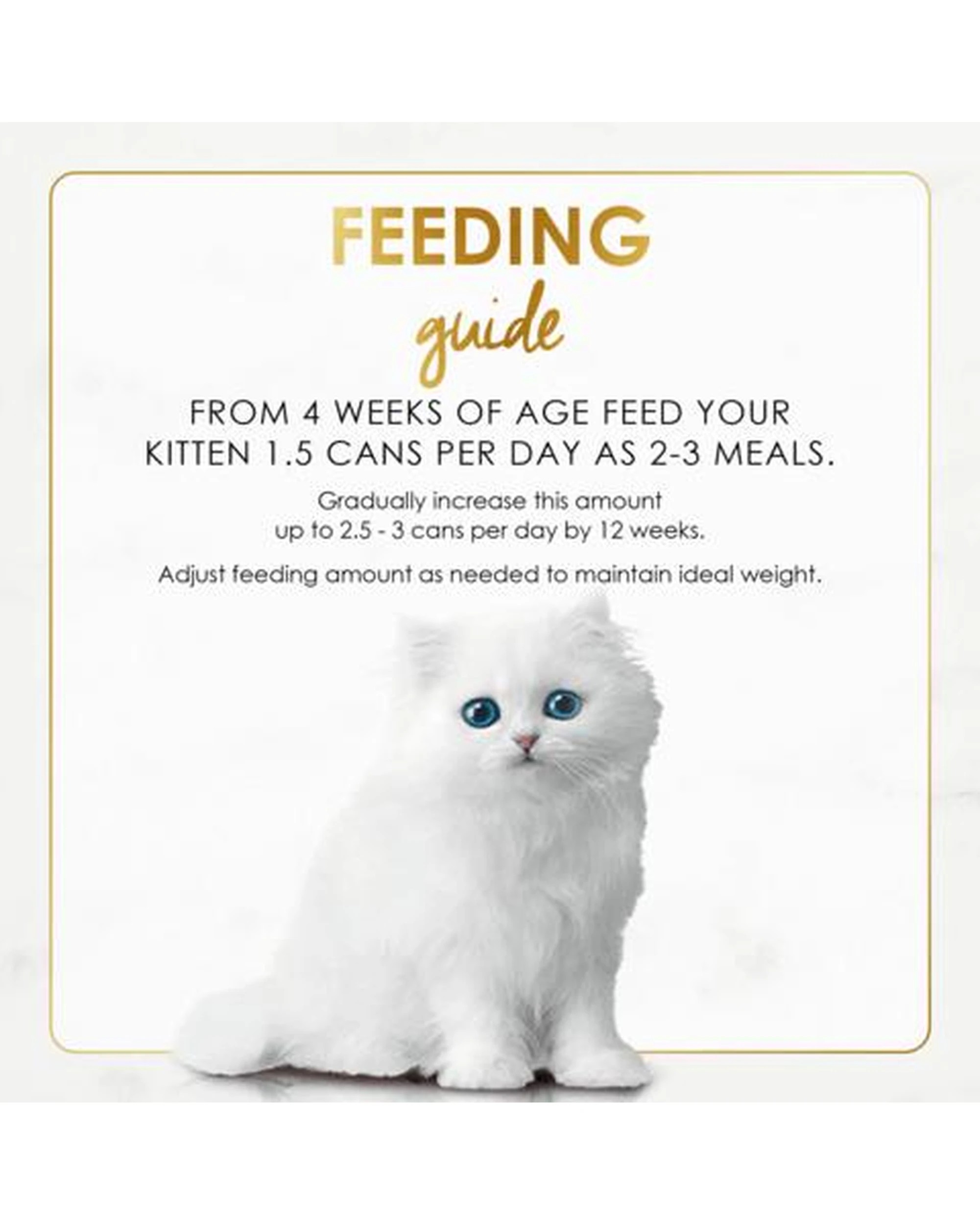 5 Fancy Feast Kitten Classic Pate Wet Cat Food Tender Chicken Feast 24 x 85g, 5 of 6