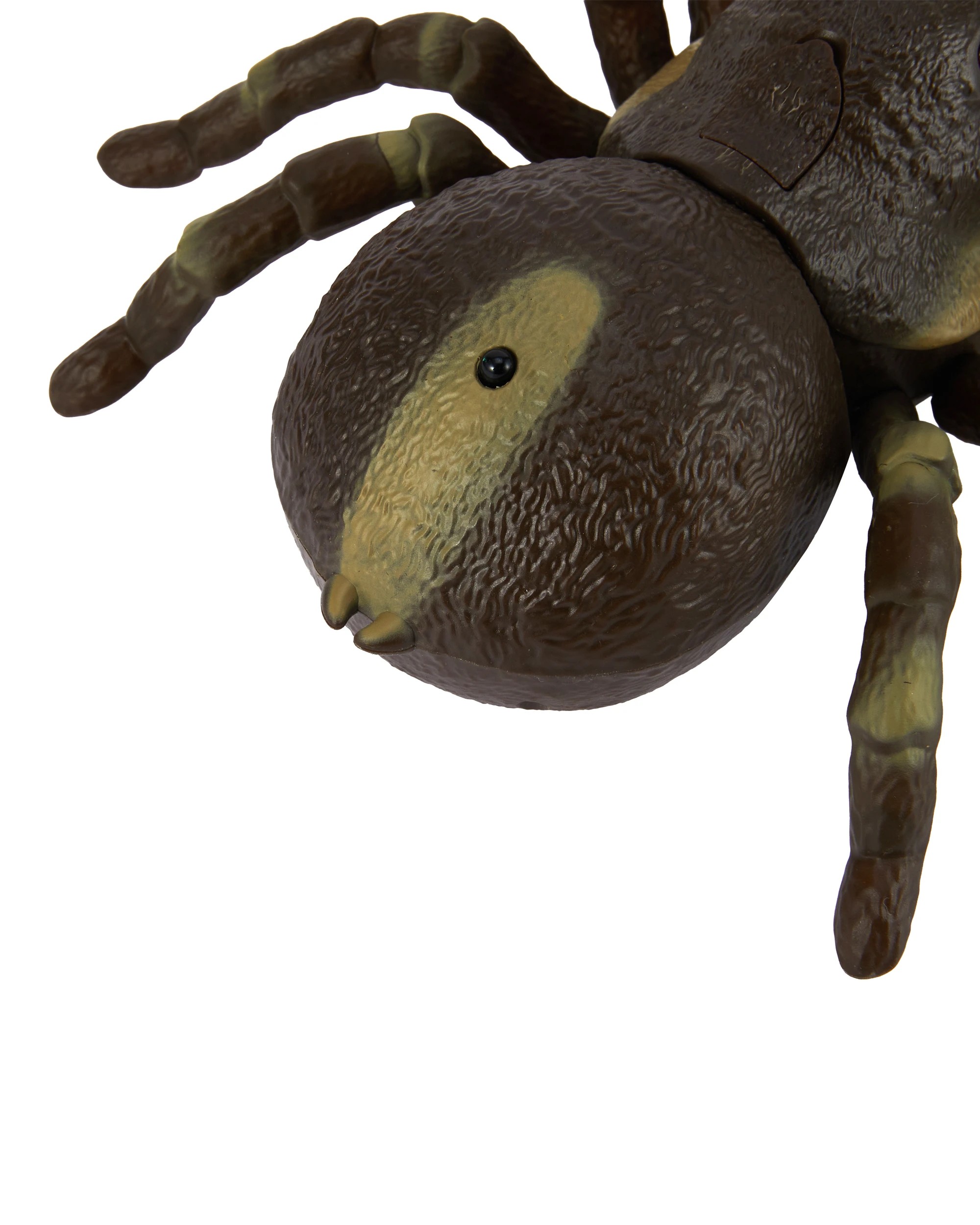 7 Remote Control Spider, 7 of 9