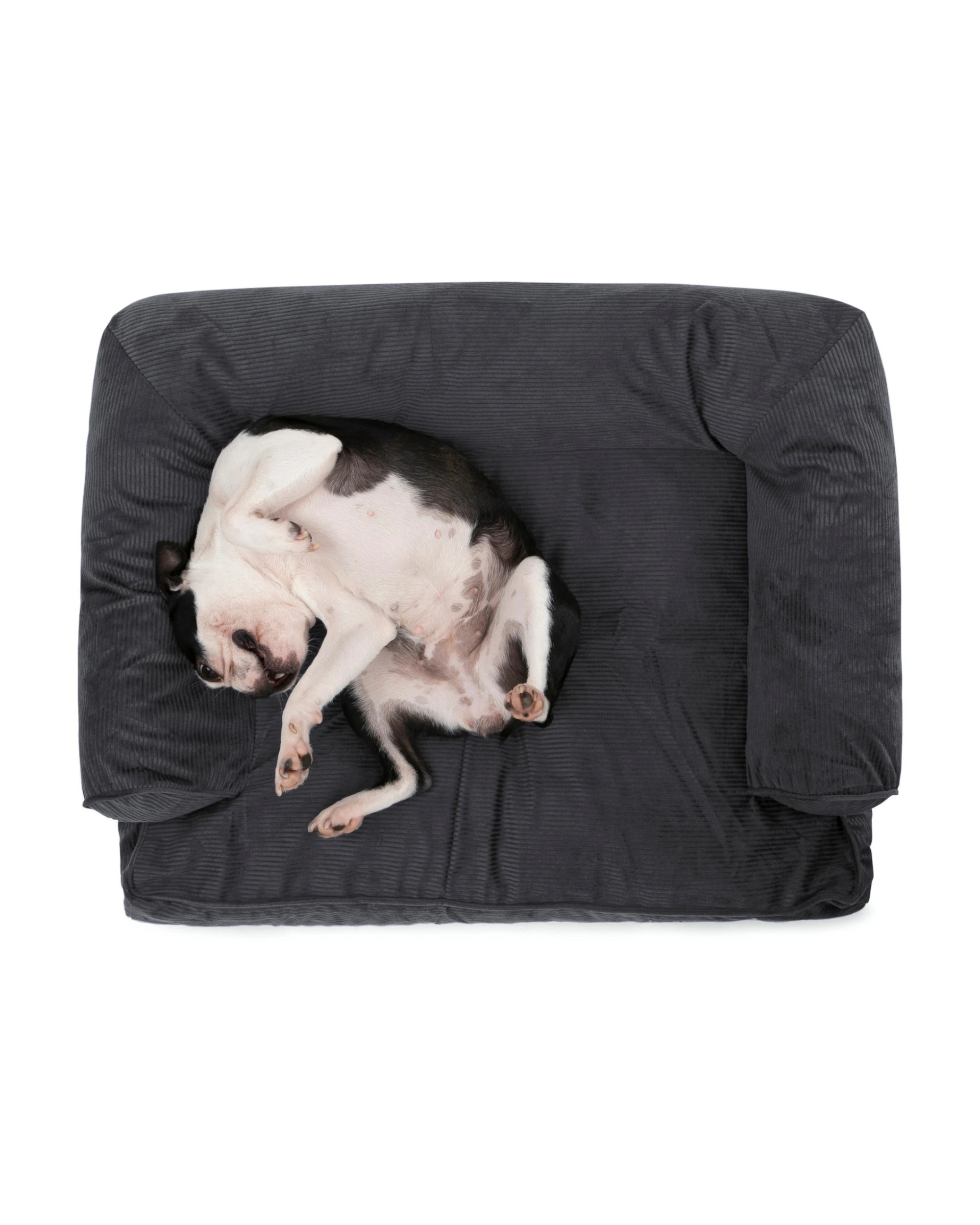 2 Charlie's Corduroy Dog Sofa Bed Large - Charcoal, 2 of 9