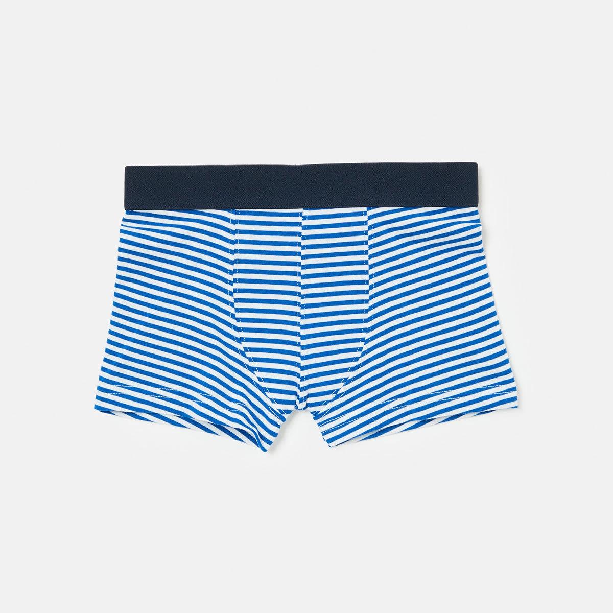 3 3 Pack Novelty Trunks Dino S24, 3 of 6