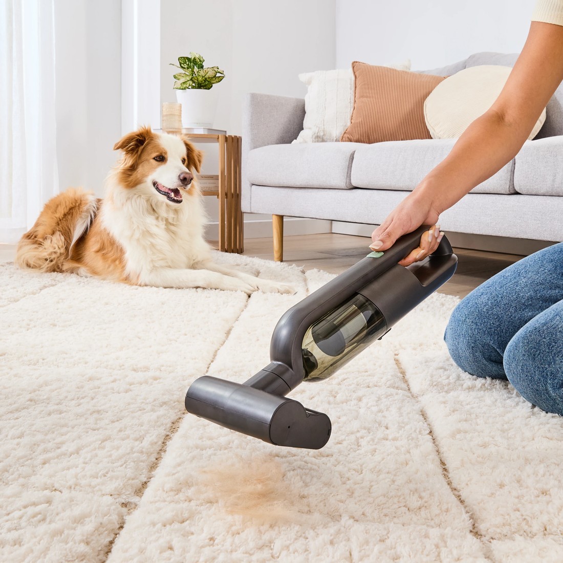 2 Compact Handheld Pet Vacuum Cleaner, 2 of 7