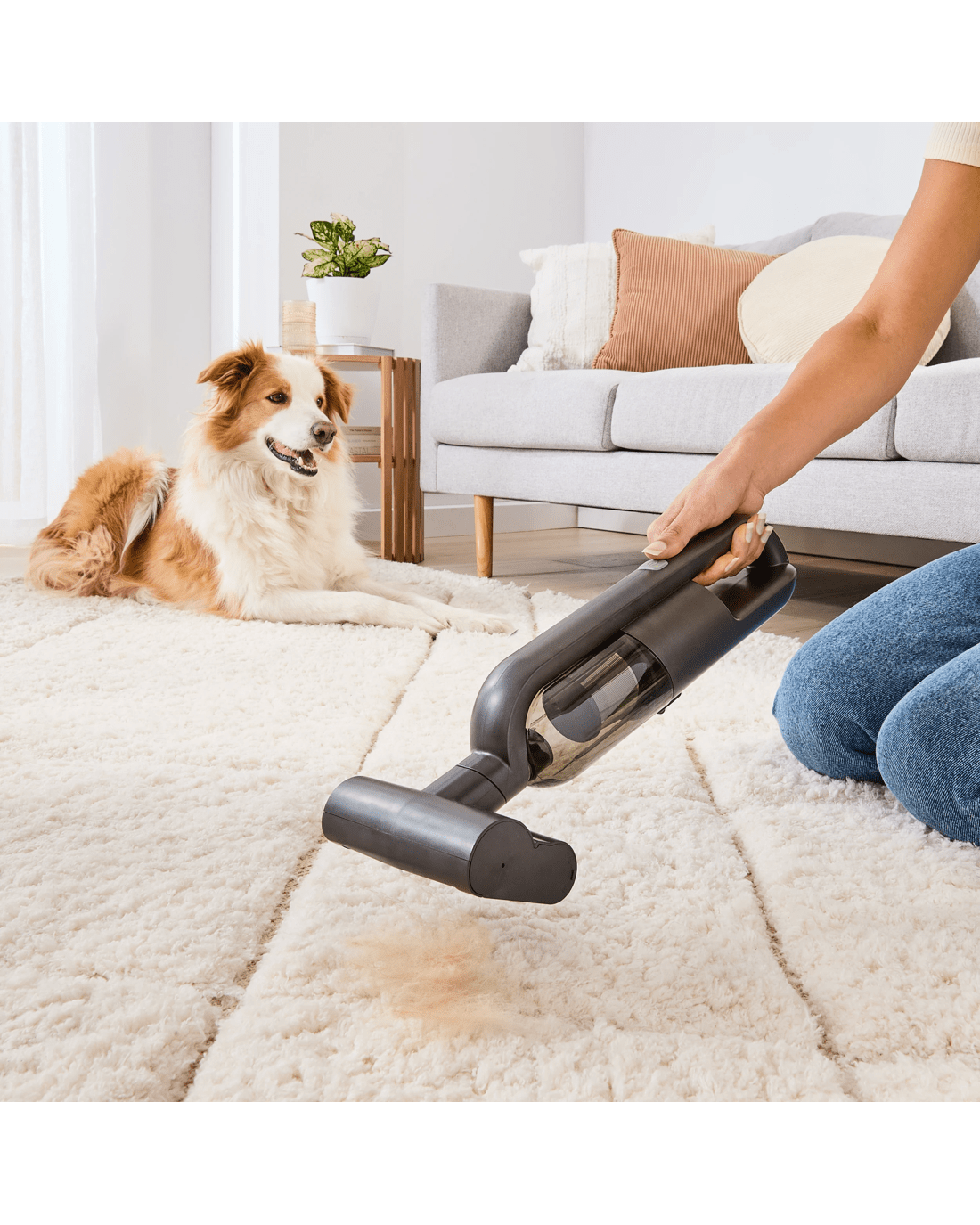 2 Compact Handheld Pet Vacuum Cleaner, 2 of 7