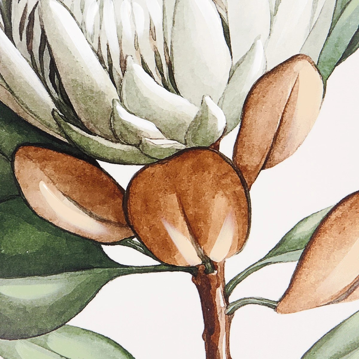 3 Protea Floral Framed Canvas, 3 of 4