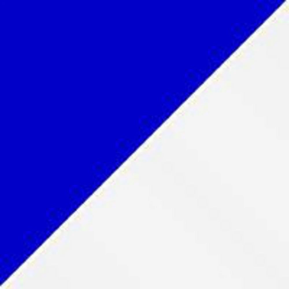 2 PILOT Pintor Paint Marker 1.4mm Medium Blue, 2 of 3