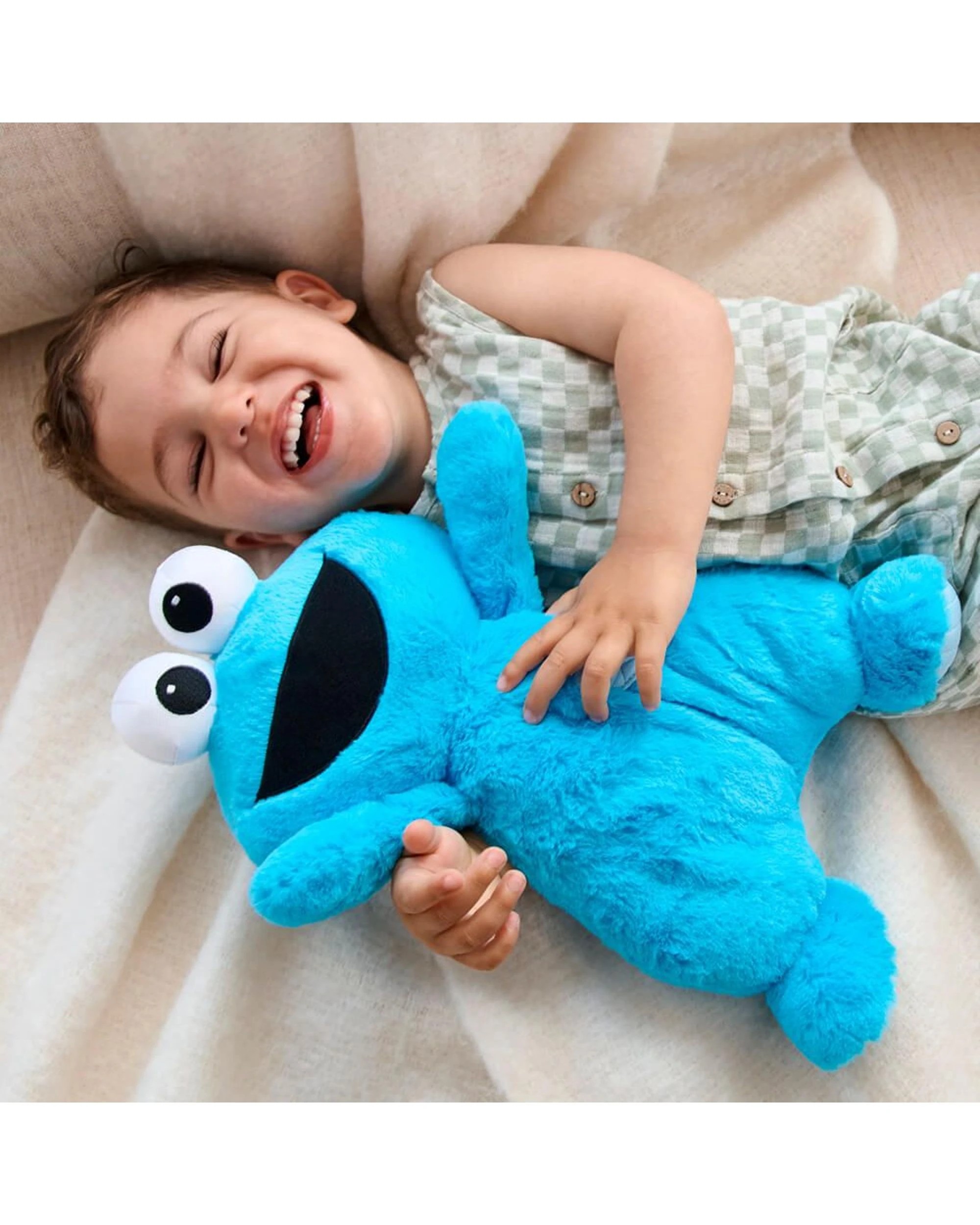 9 Gund Sesame Street Oh So Snuggly Cookie Monster Plush, 9 of 9