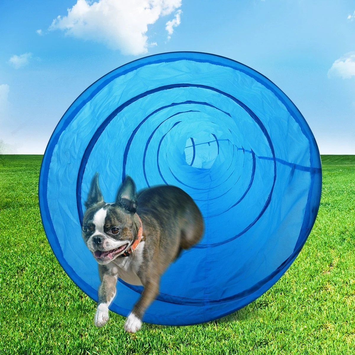 5 Pet Scene Easy packed Dog Training Tunnel, 5 of 10