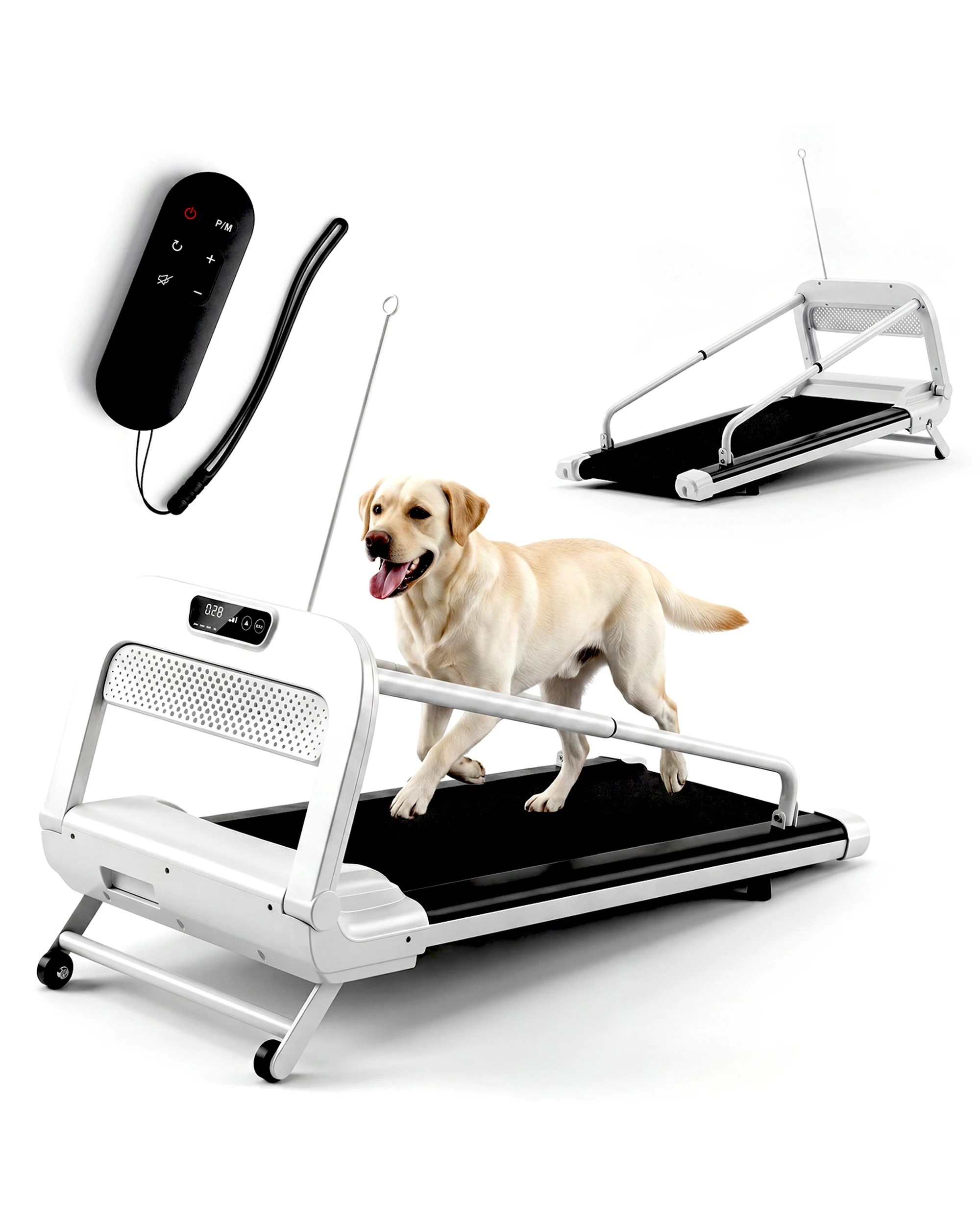 1 Advwin Dog Treadmill Pet Running Machine, 1 of 9