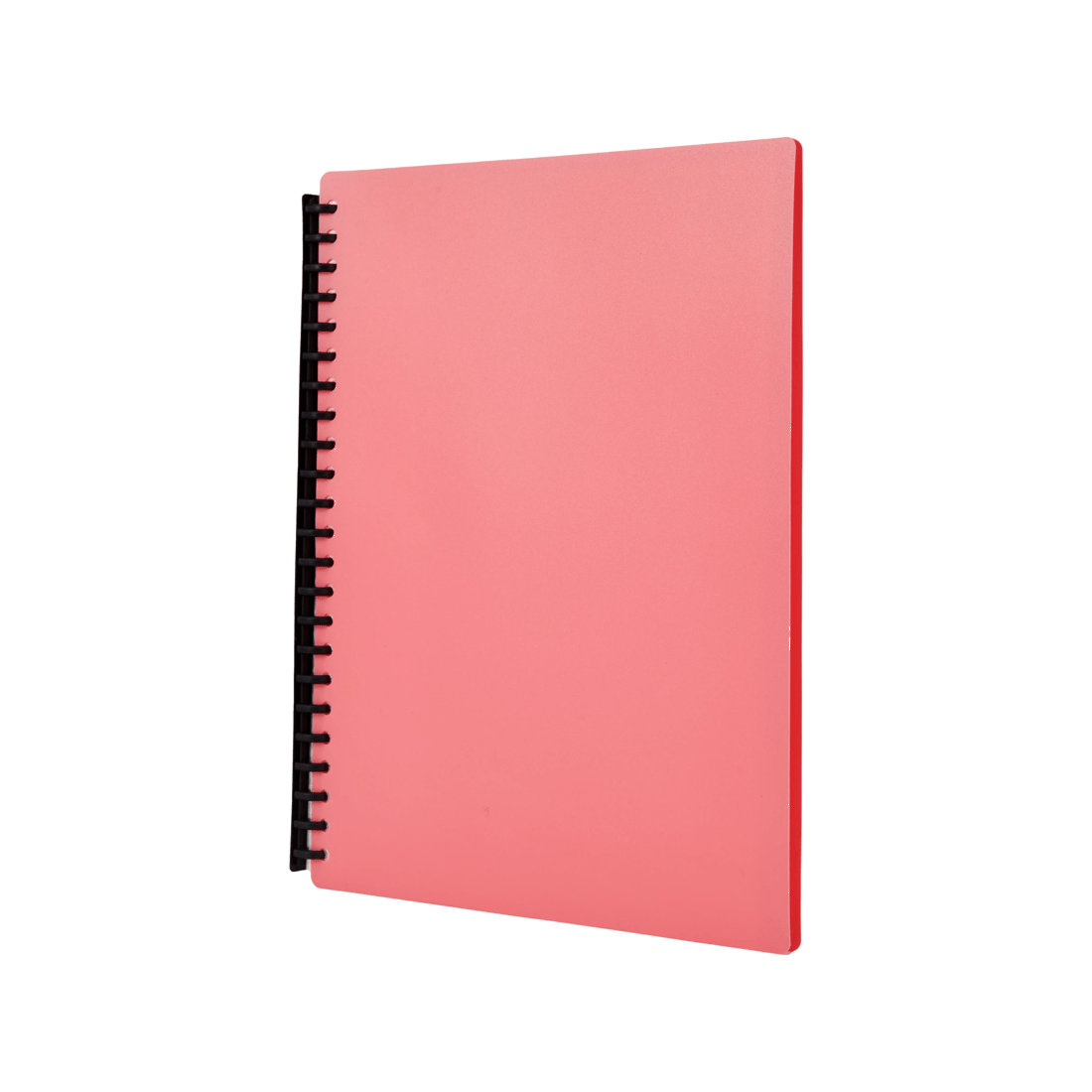 2 A4 Display Folder - Melon, 2 of 7