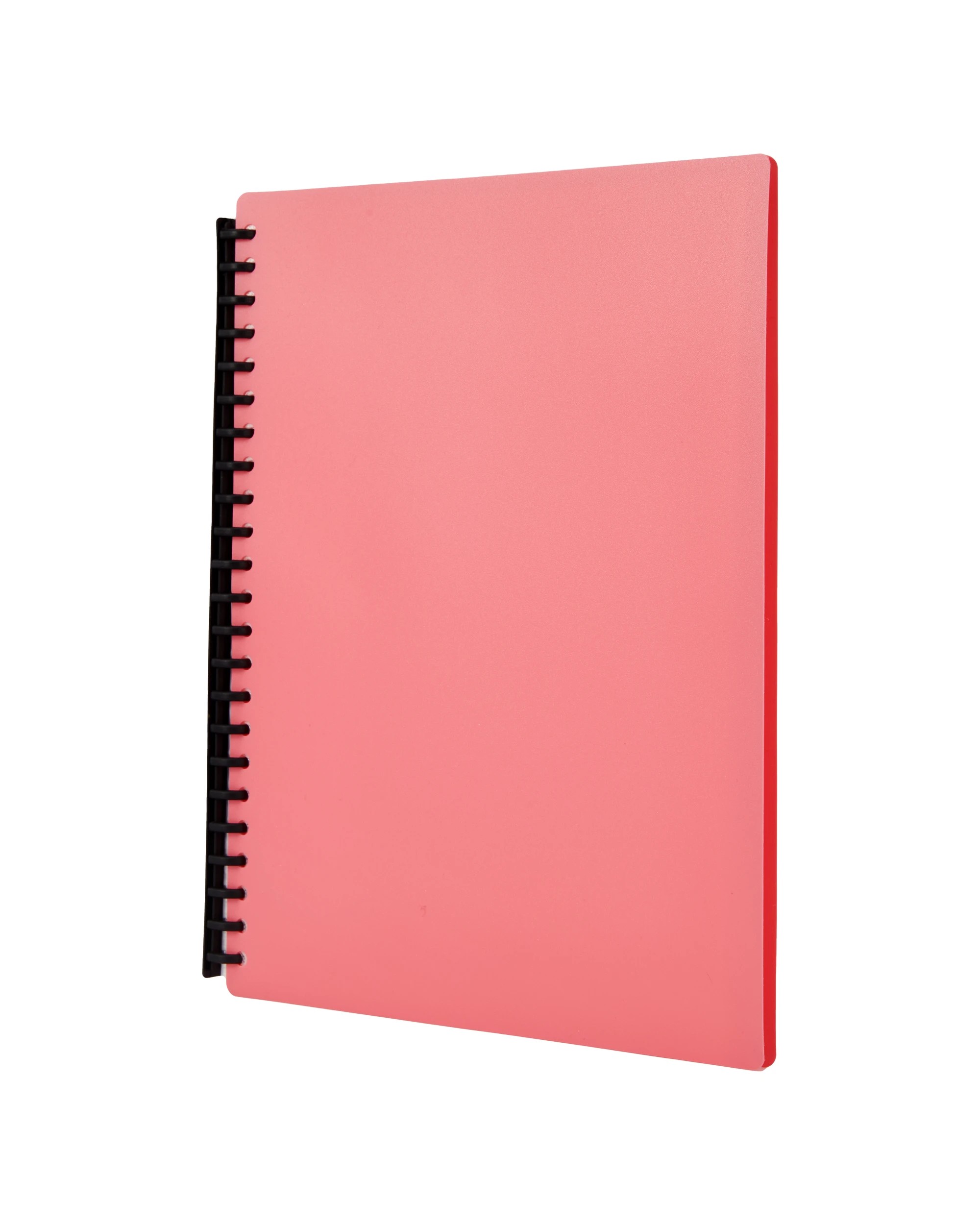 2 A4 Display Folder - Melon, 2 of 7