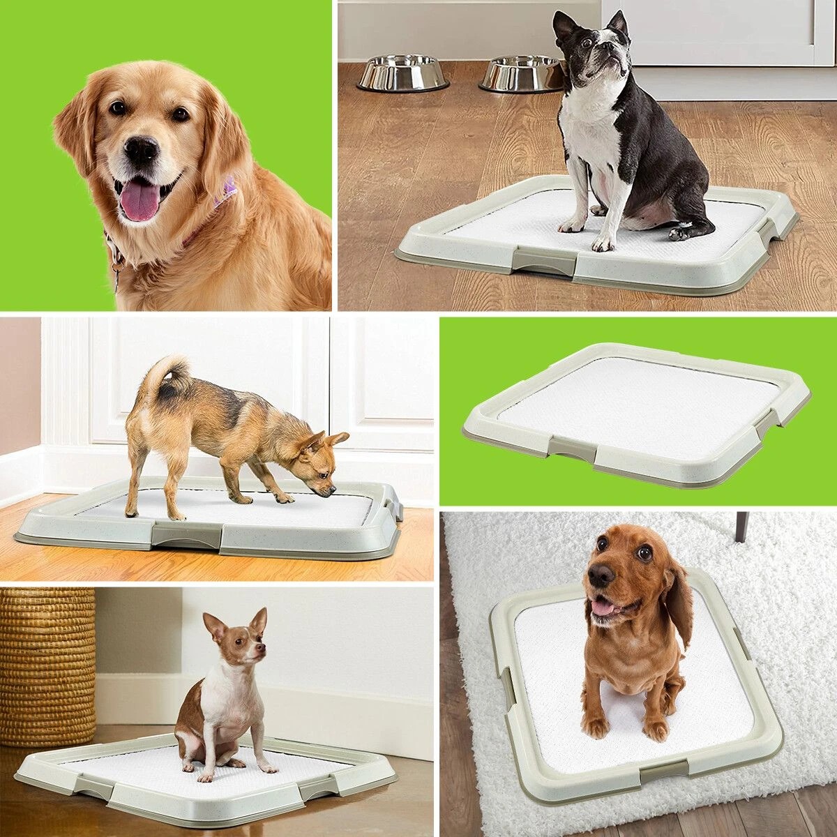 3 Pawise Pet Dog Pee Pad Holder Indoor Puppy Potty Training, 3 of 4