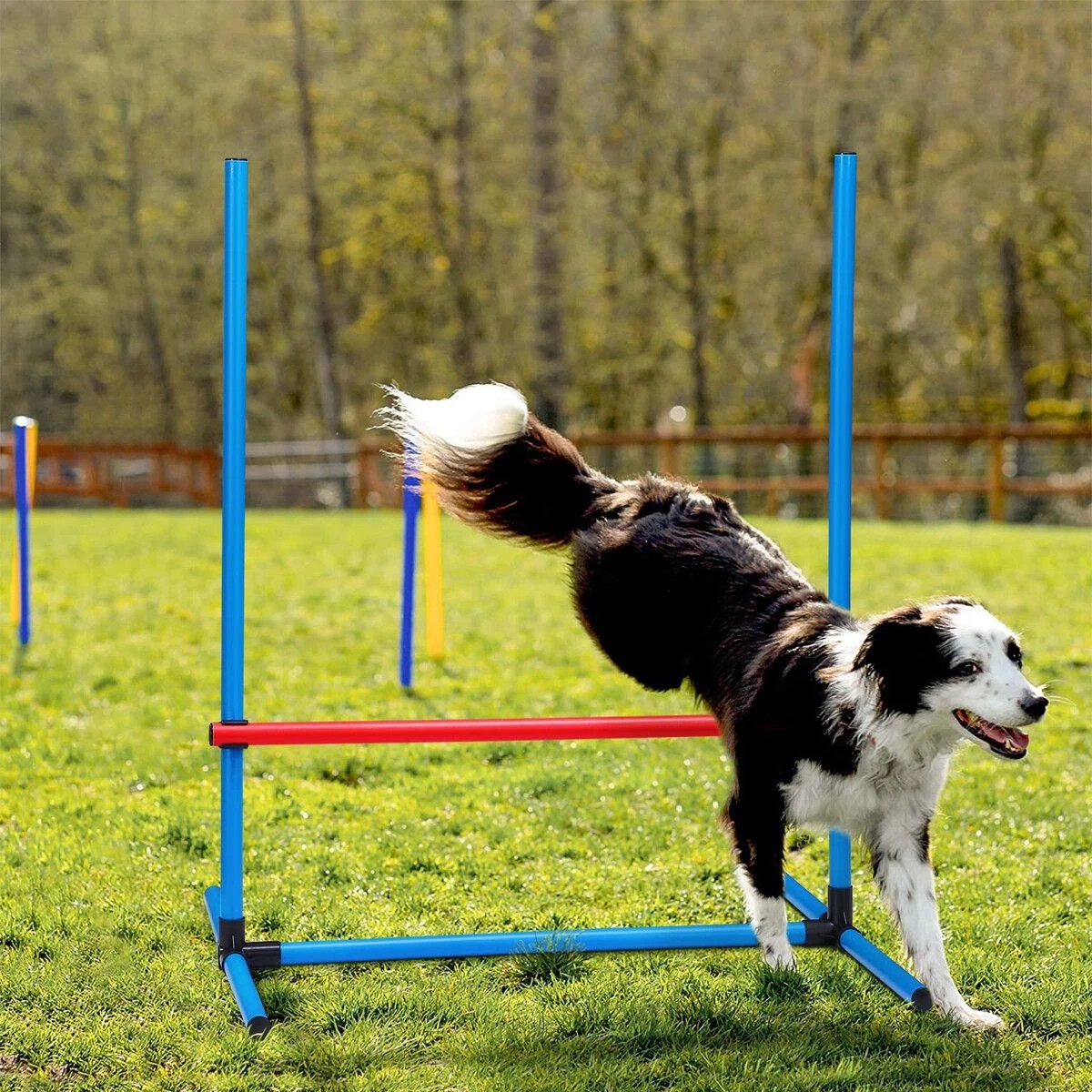 4 Petscene Dog Agility Equipment 5PC Set, 4 of 7