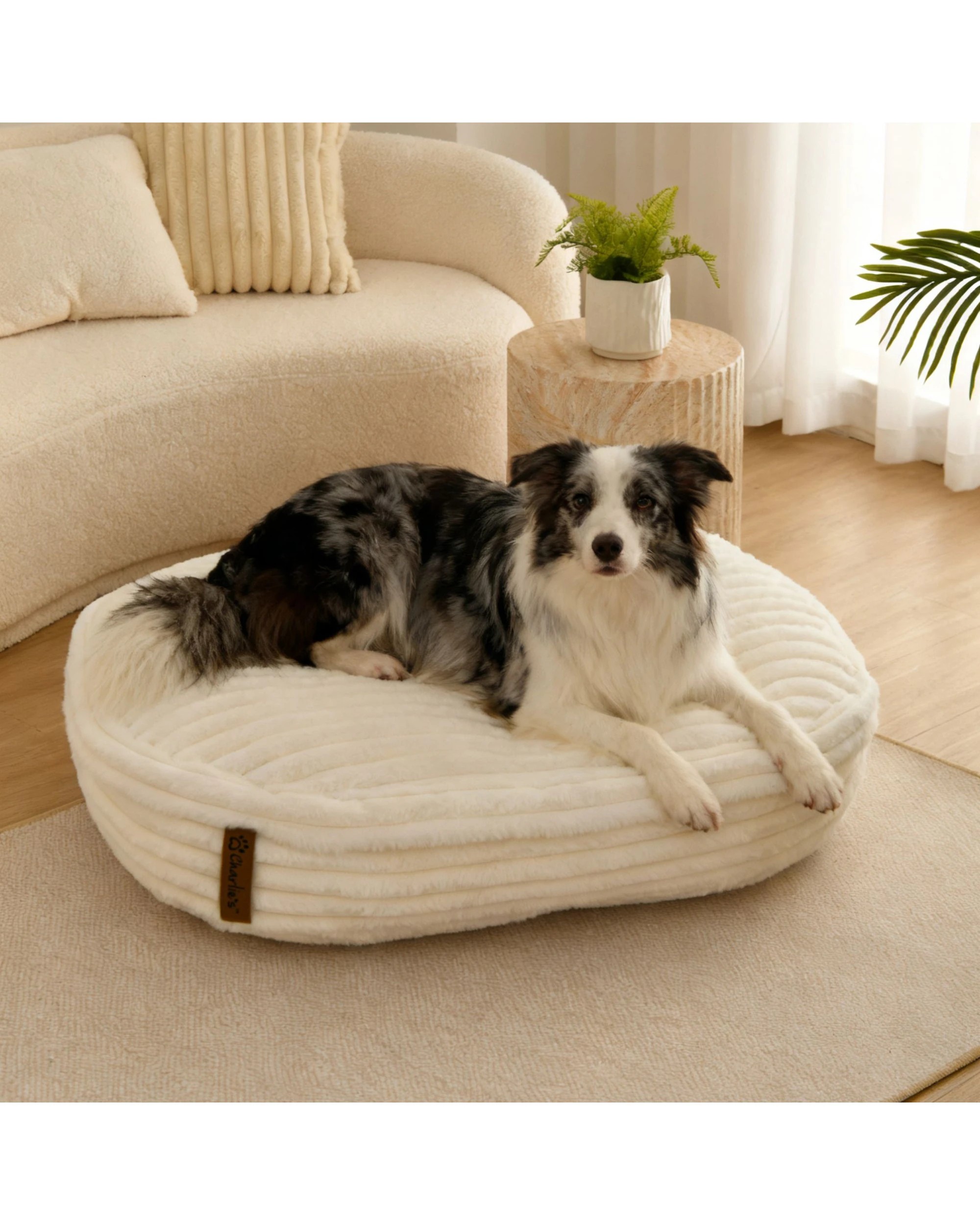 1 Charlie's Cloud Crushed Foam Dog Bed Medium - Cream, 1 of 8