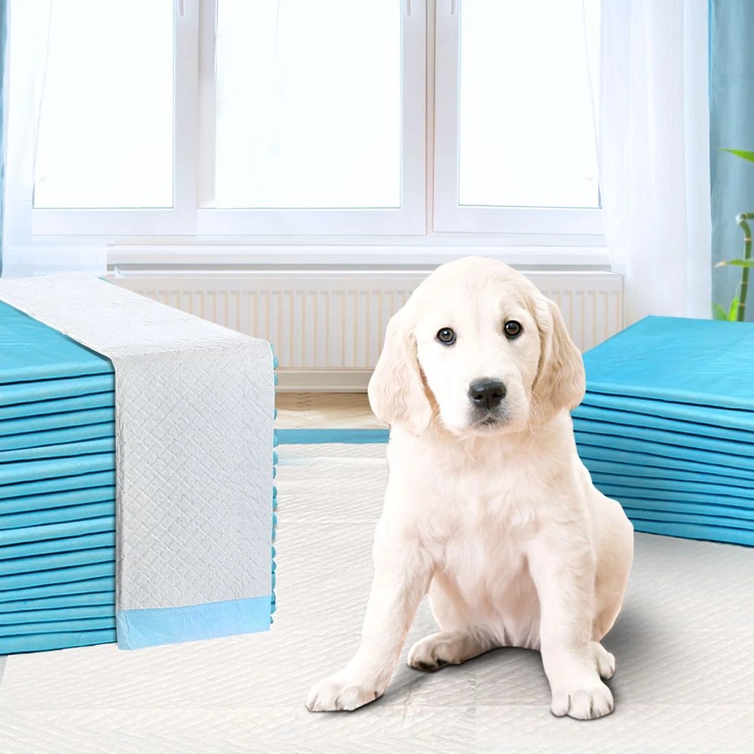 3 i.Pet Pet Training Pads 200pcs 60x60cm - Blue, 3 of 7