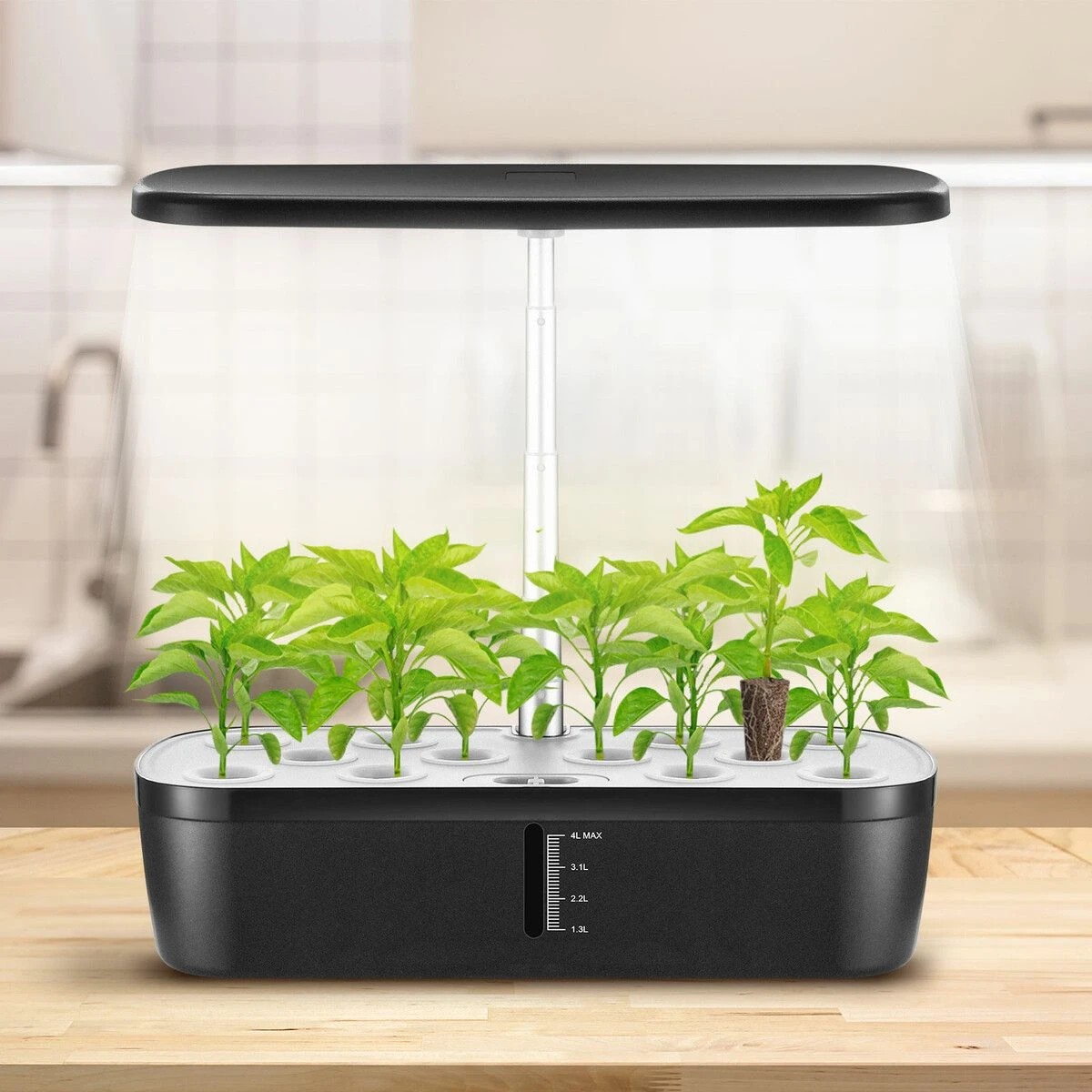 3 Maxkon 12 Pods Hydroponics Growing System Indoor Herb Garden Kit Plant, 3 of 3