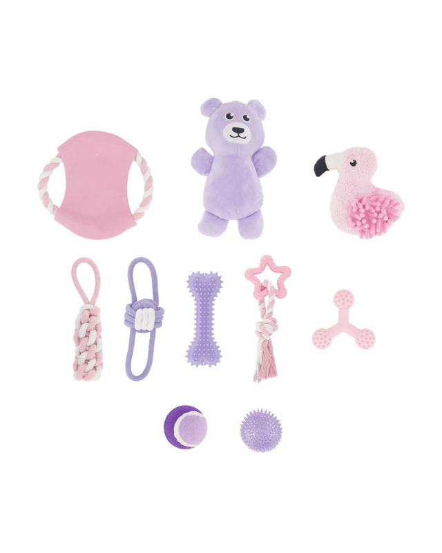 10 Pack Pet Toy Girl P