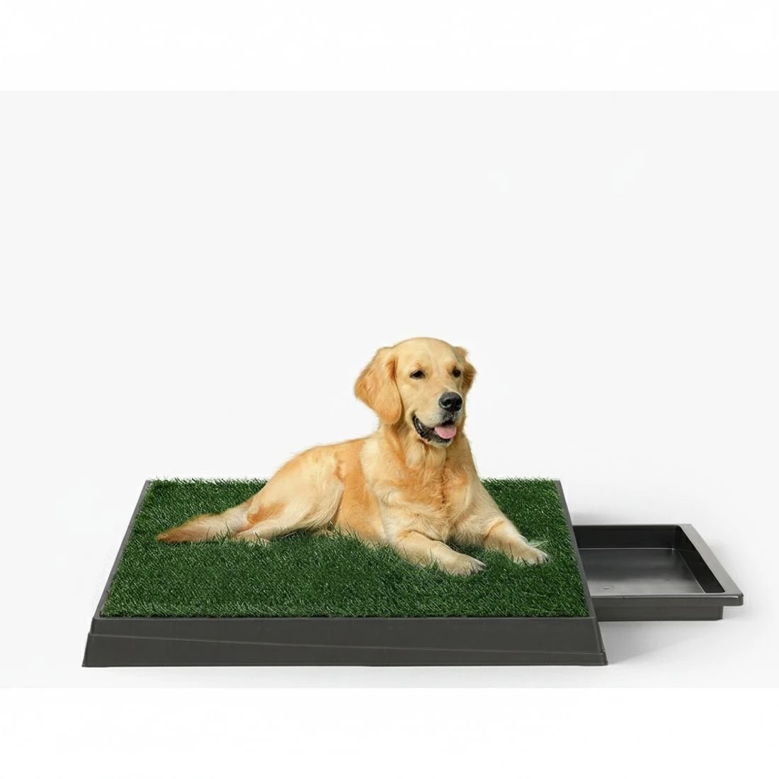 3 i.Pet Pet Training Pad Dog Potty Toilet Large Portable With Tray Grass 2 - Green, 3 of 5