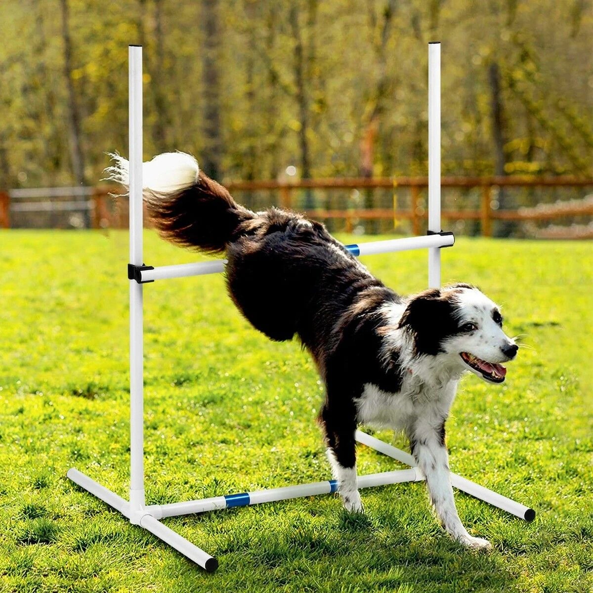 3 Pet Scene Dog Agility Equipment 7PCS Set Obstacle Course Pet Training, 3 of 4