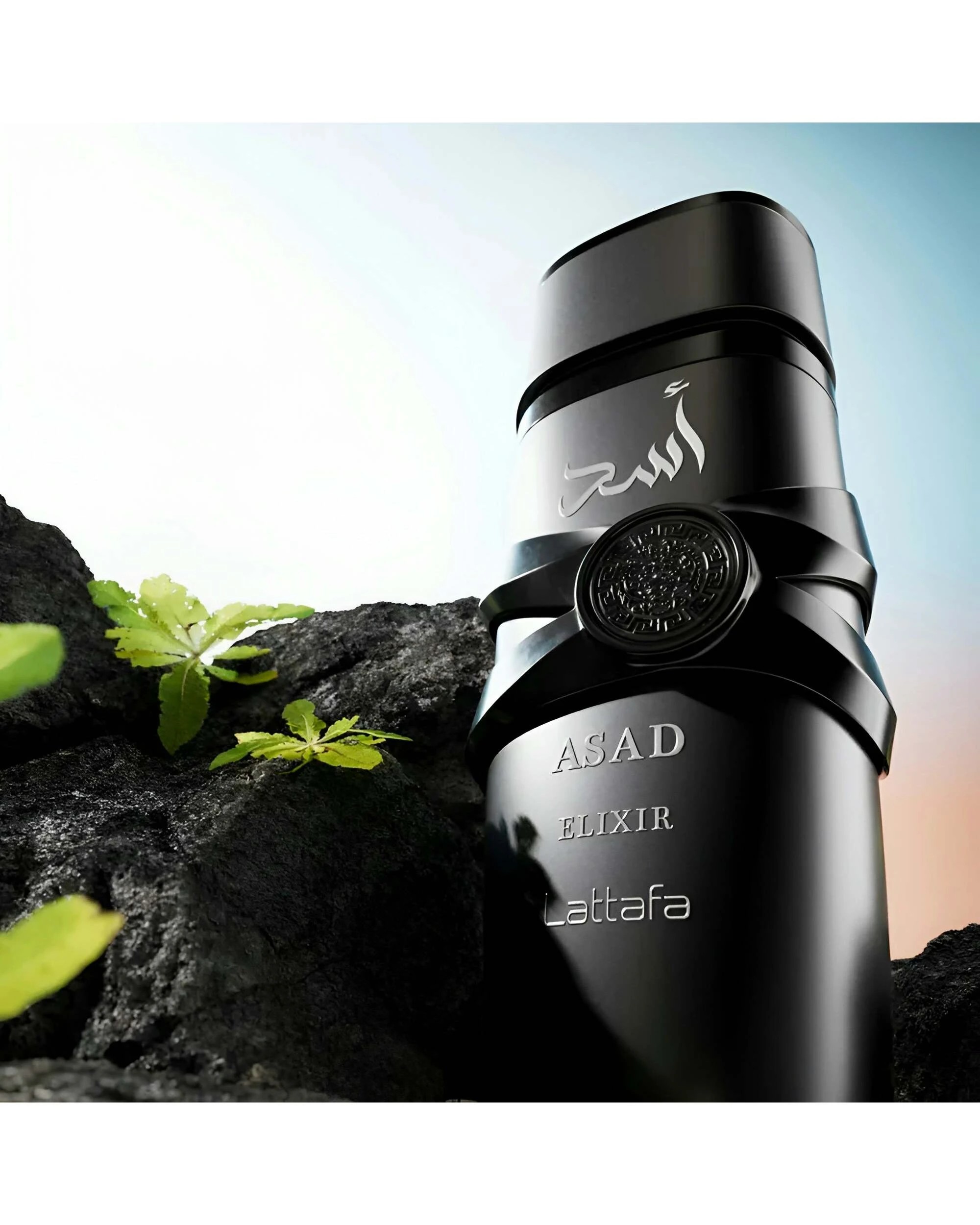 1 Lattafa Asad Elixir 100ml Eau De Parfum, 1 of 2