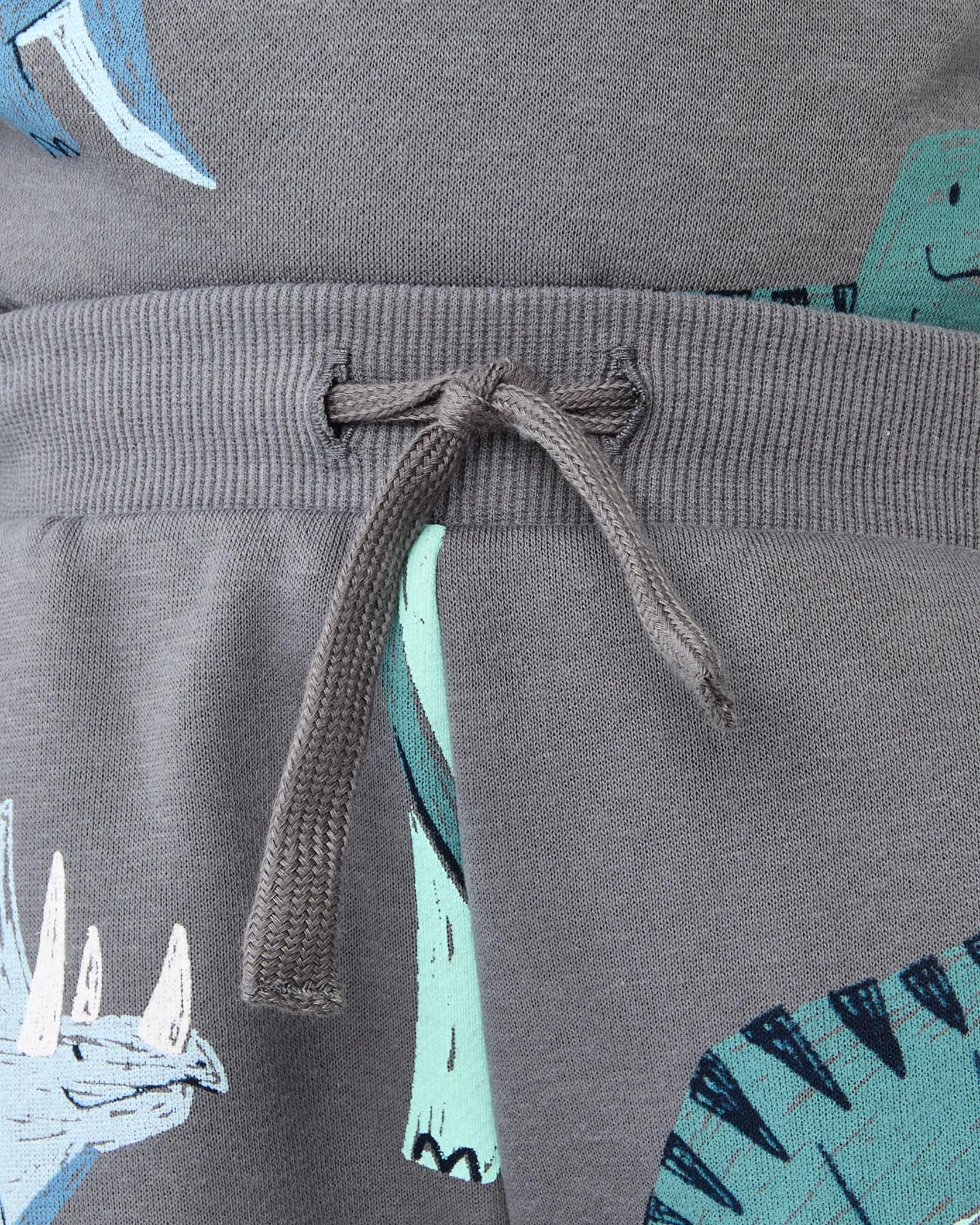 5 All Over Print Trackpants Gry Dino, 5 of 7