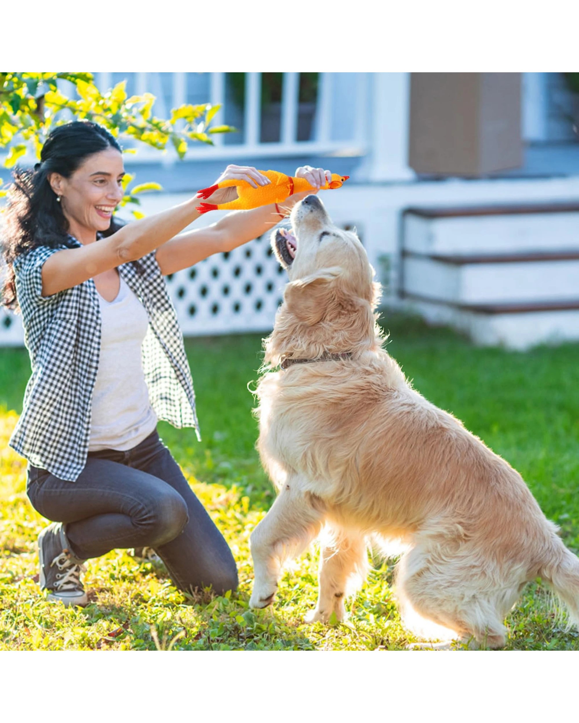 4 BR Pets Screaming Chicken Dog Chew Toy - Pack of 6, 4 of 4