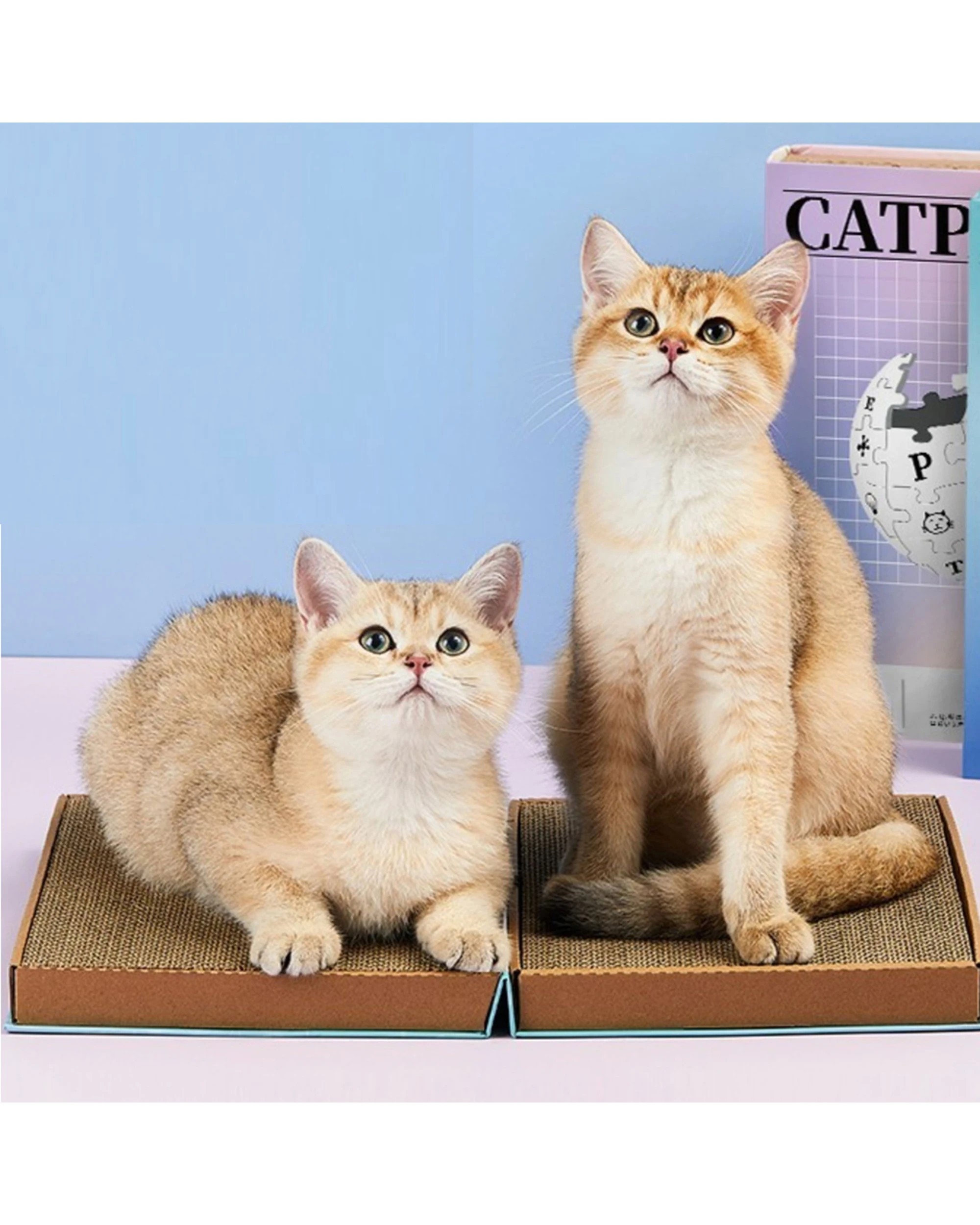 4 Petkit Catpedia Scratcher Book Corrugated Paper Includes Catnip Expandable - Blue, 4 of 6