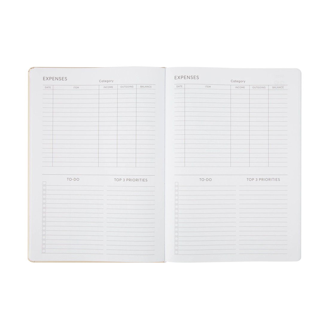 6 2026 Daily Diary - Beige, 6 of 8