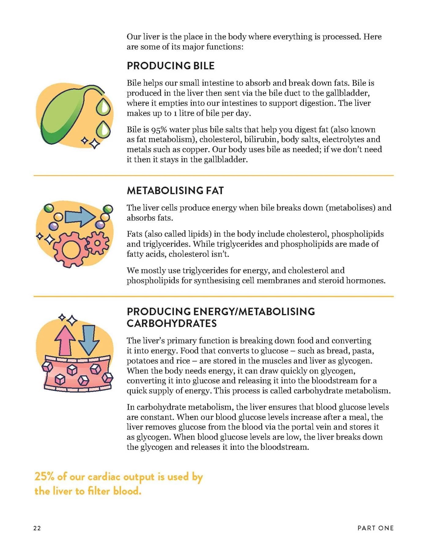 2 The Liver Repair Plan by Sarah Di Lorenzo - Book, 2 of 9