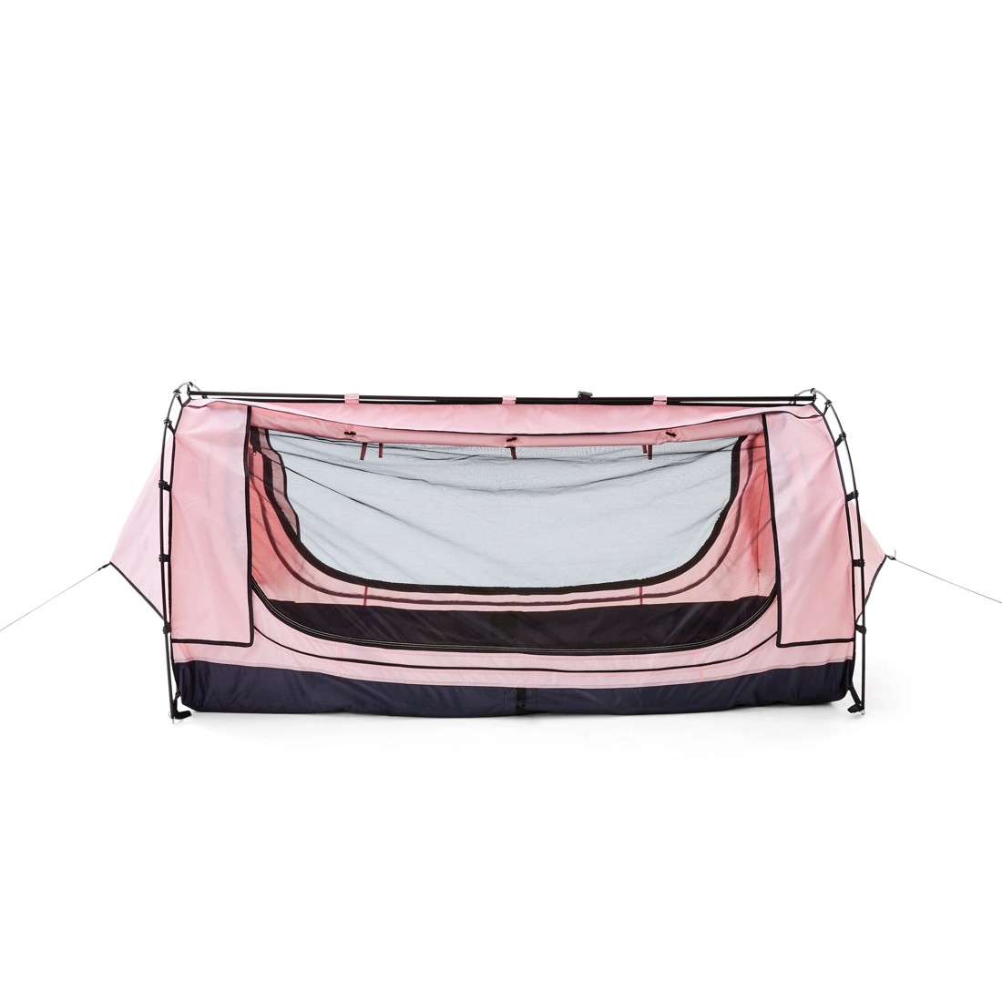 6 Pink Swag, 6 of 10