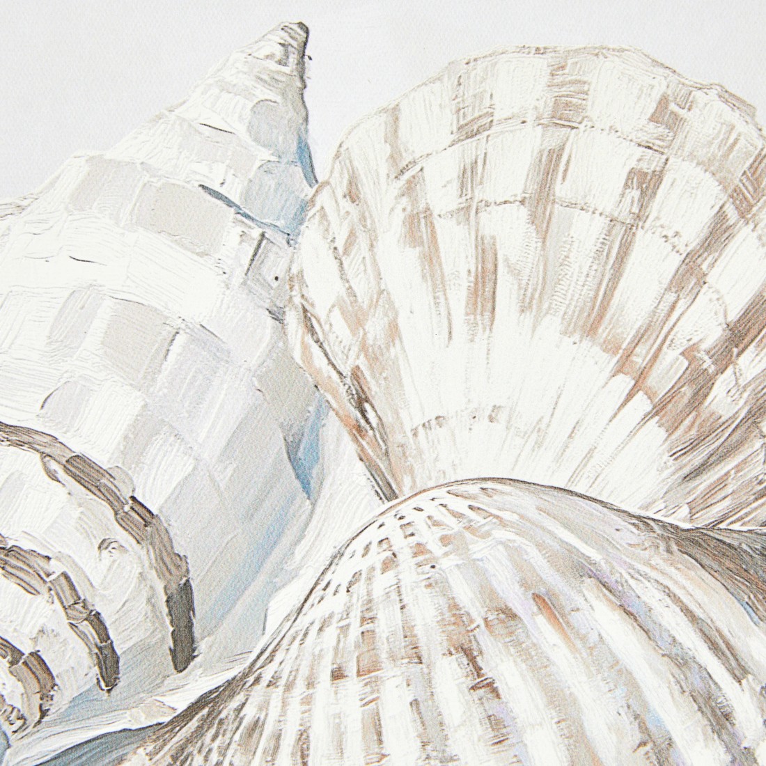 3 Shells Framed  - 25cm x 25cm, 3 of 5