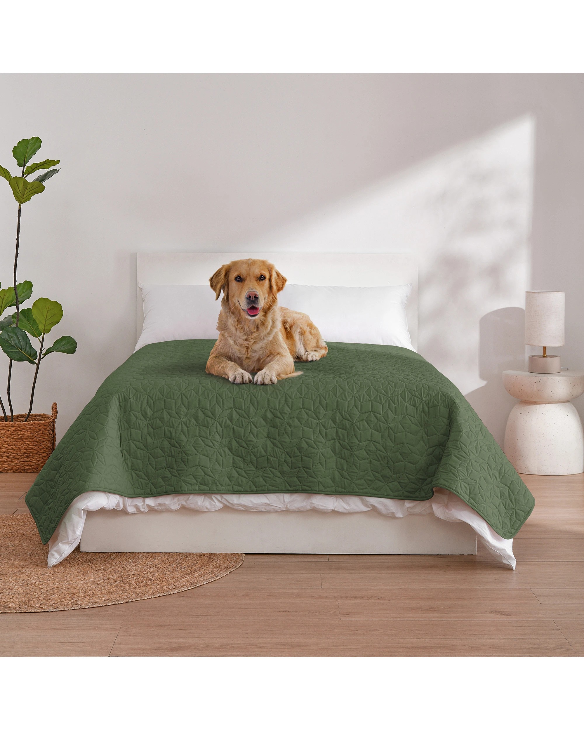 1 Charlie's Sofur Waterproof Dog Bed Cover Protector Double/Queen 208x208cm - Double/Queen - Olive, 1 of 10