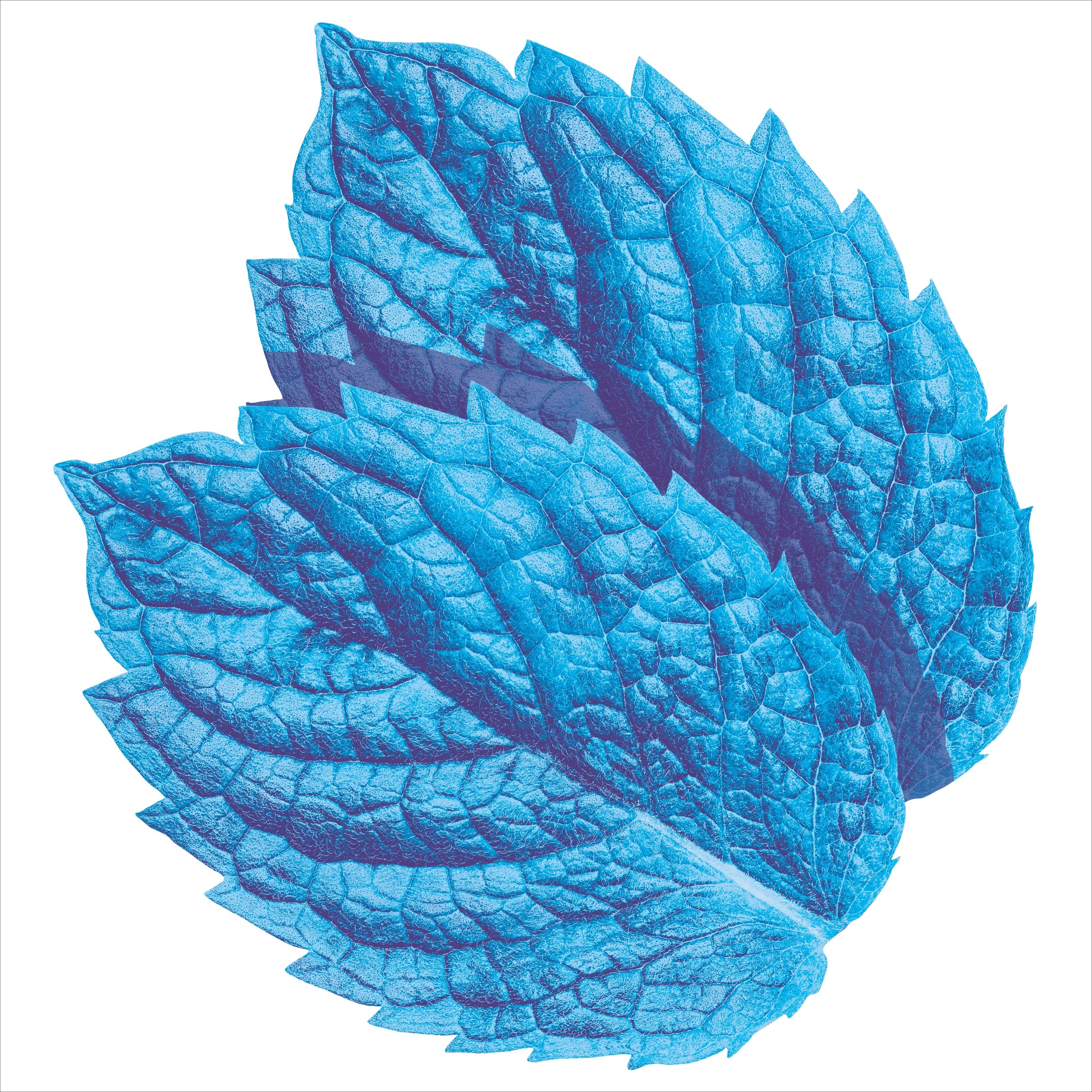 5 4 Pack Wrigley's Extra White Peppermint Gum 56g, 5 of 5