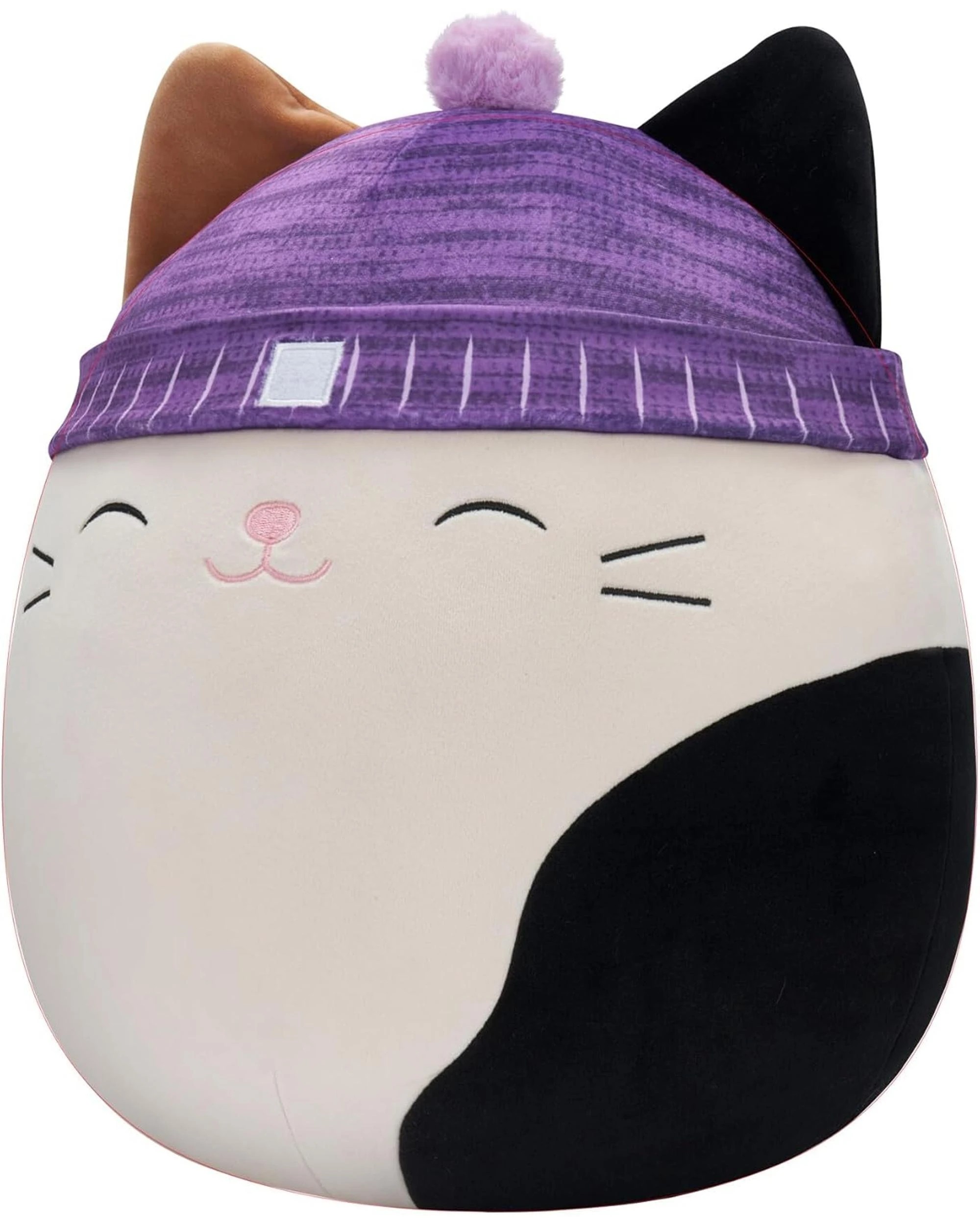 2 Squishmallows Cam the Cat with Beanie 14 inch Plush, 2 of 3