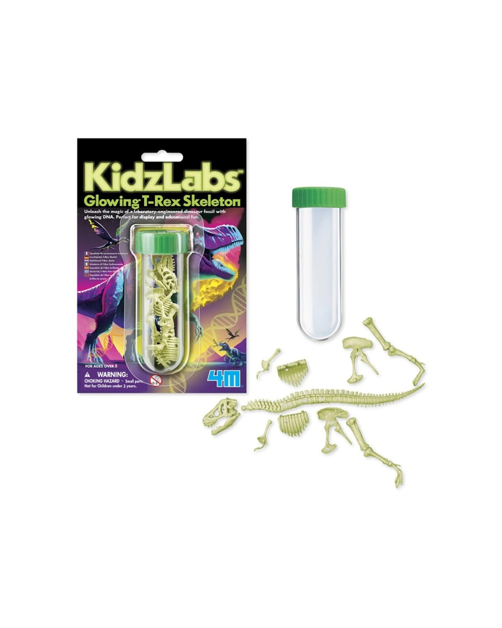 2 4M KidzLabs Glowing T-Rex Skeleton Kids Children Educational Fun Play Toy, 2 of 3