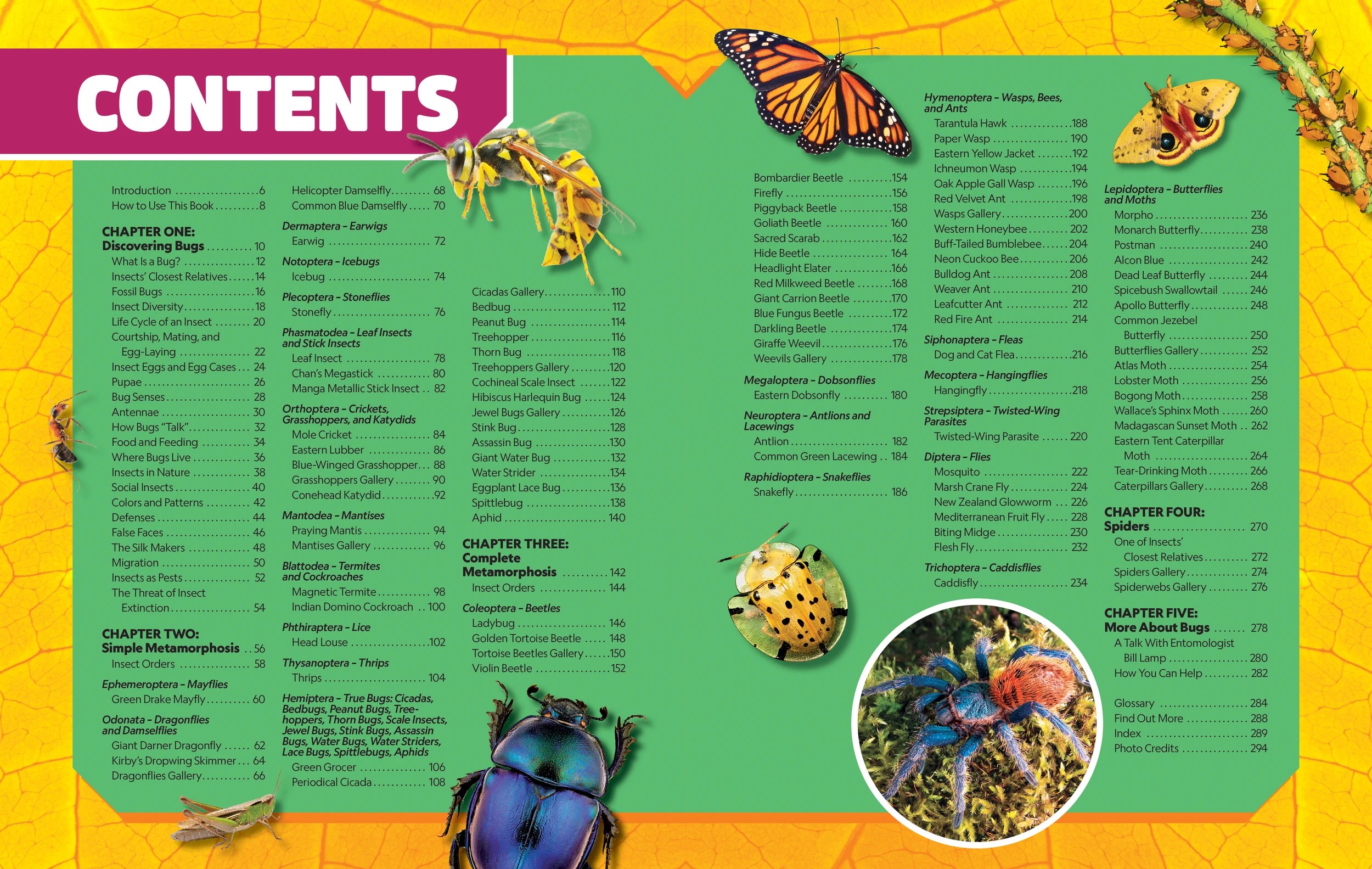 2 National Geographic Kids: Ultimate Bug-0pedia Second Edition by  Darlyne Murawski and Nancy Honovich - Book, 2 of 7