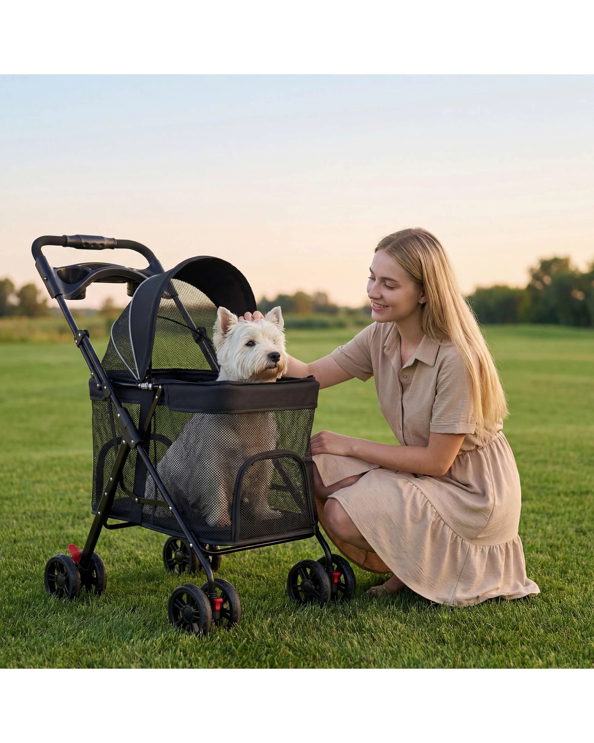 3 Advwin Pet Stroller Pram Foldable Dog Cat Carrier Cage Travel Pushchair, 3 of 9