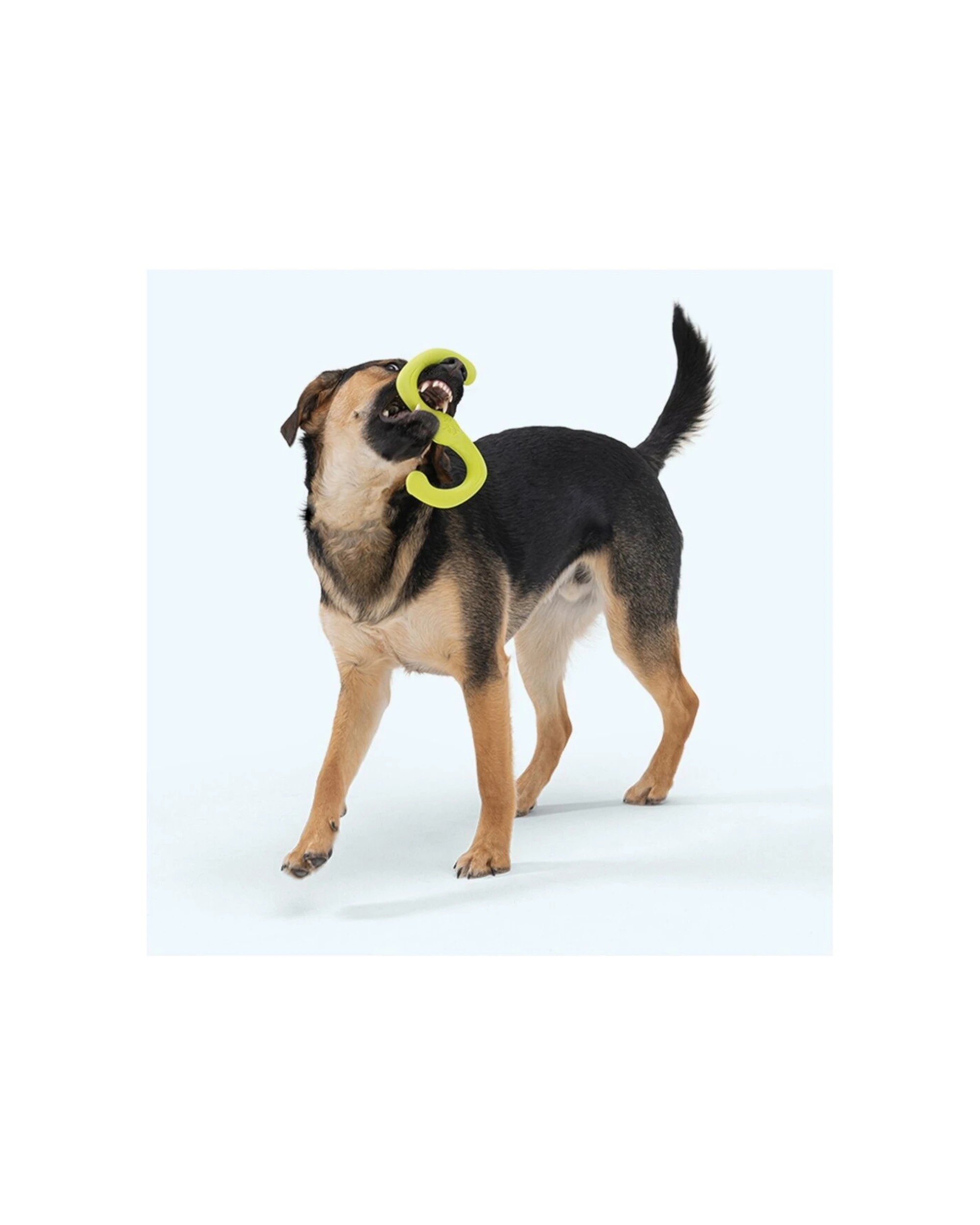 2 West Paw Bumi Dog Fetch And Tug Toy Large Soft Chew Zogoflex Stretchable - Blue, 2 of 2